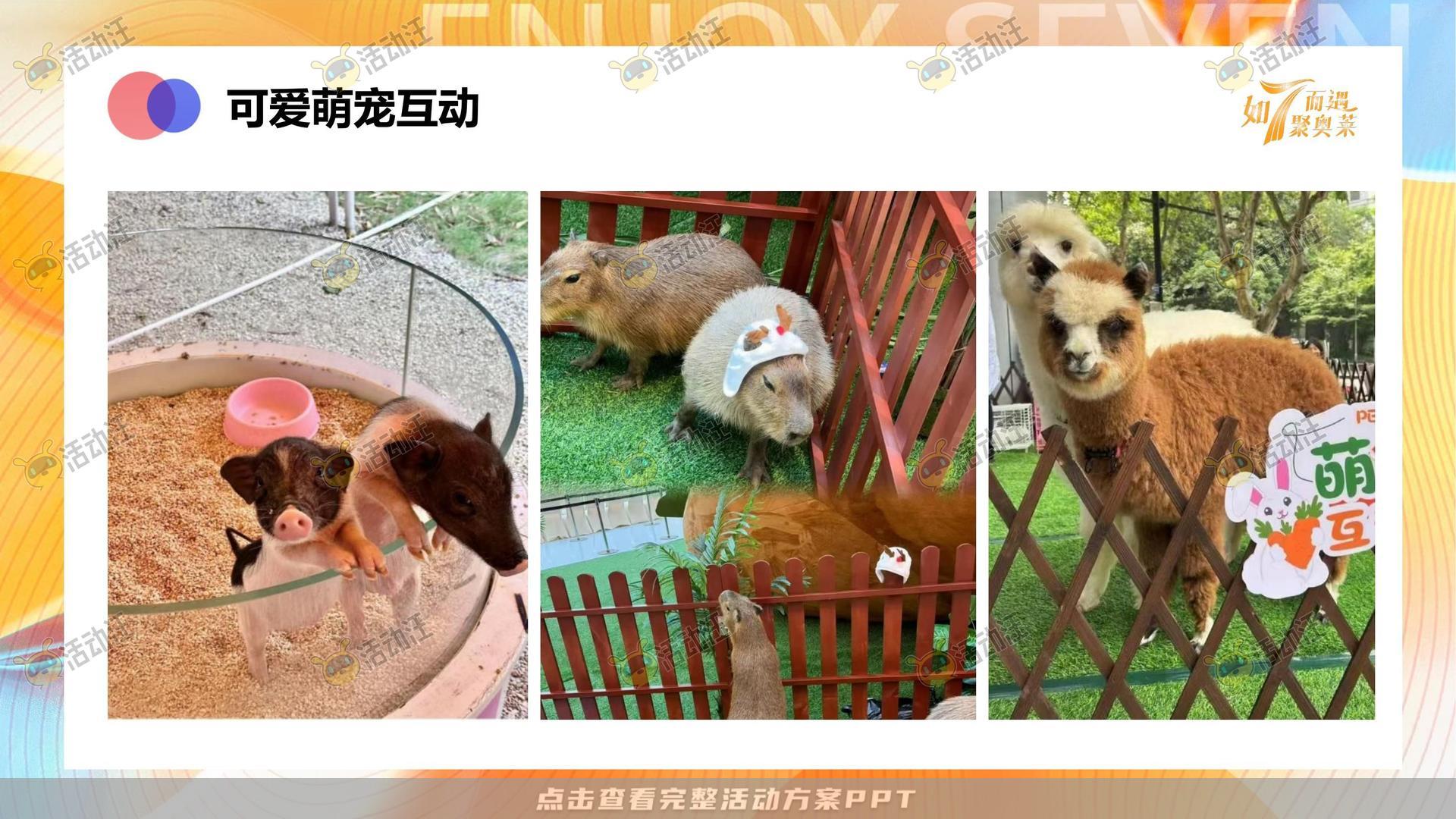 嘉年华活动策划方案