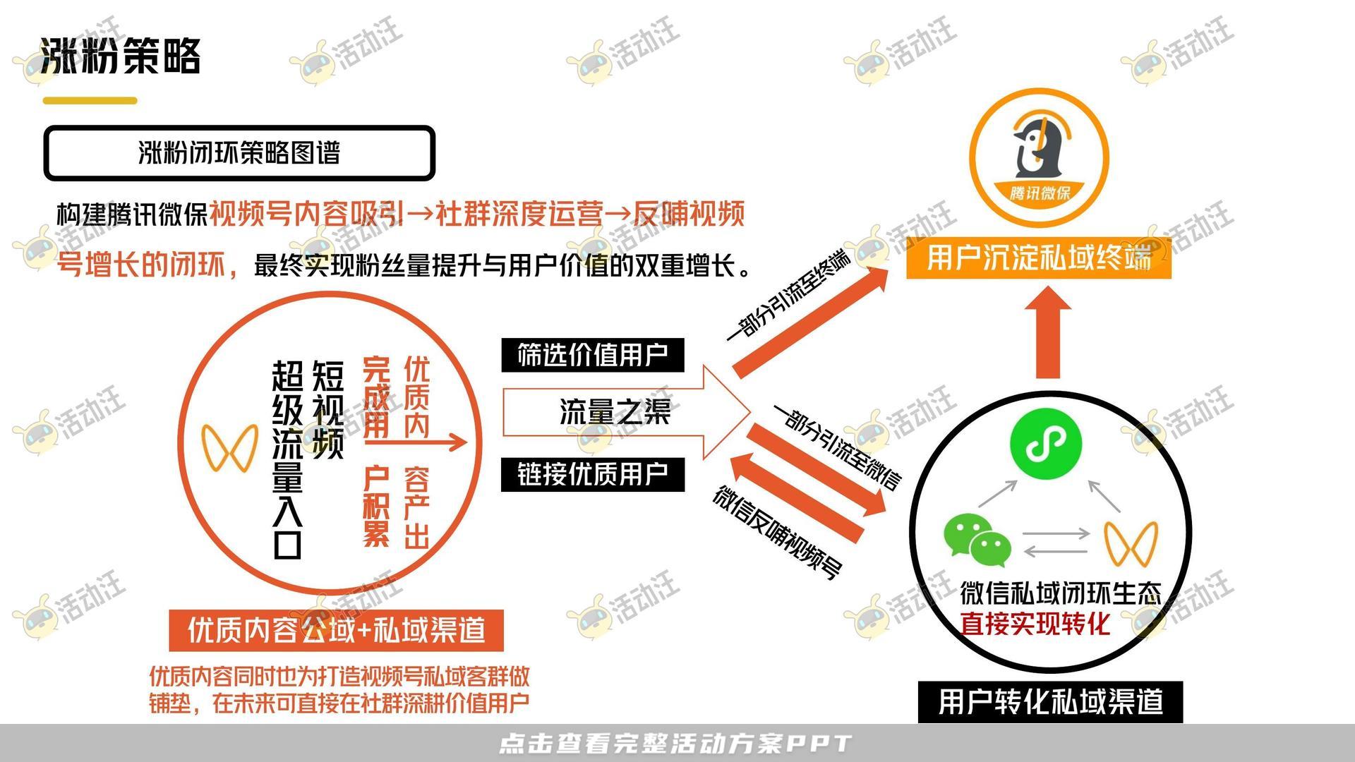 保险&金融行业短视频运营全案