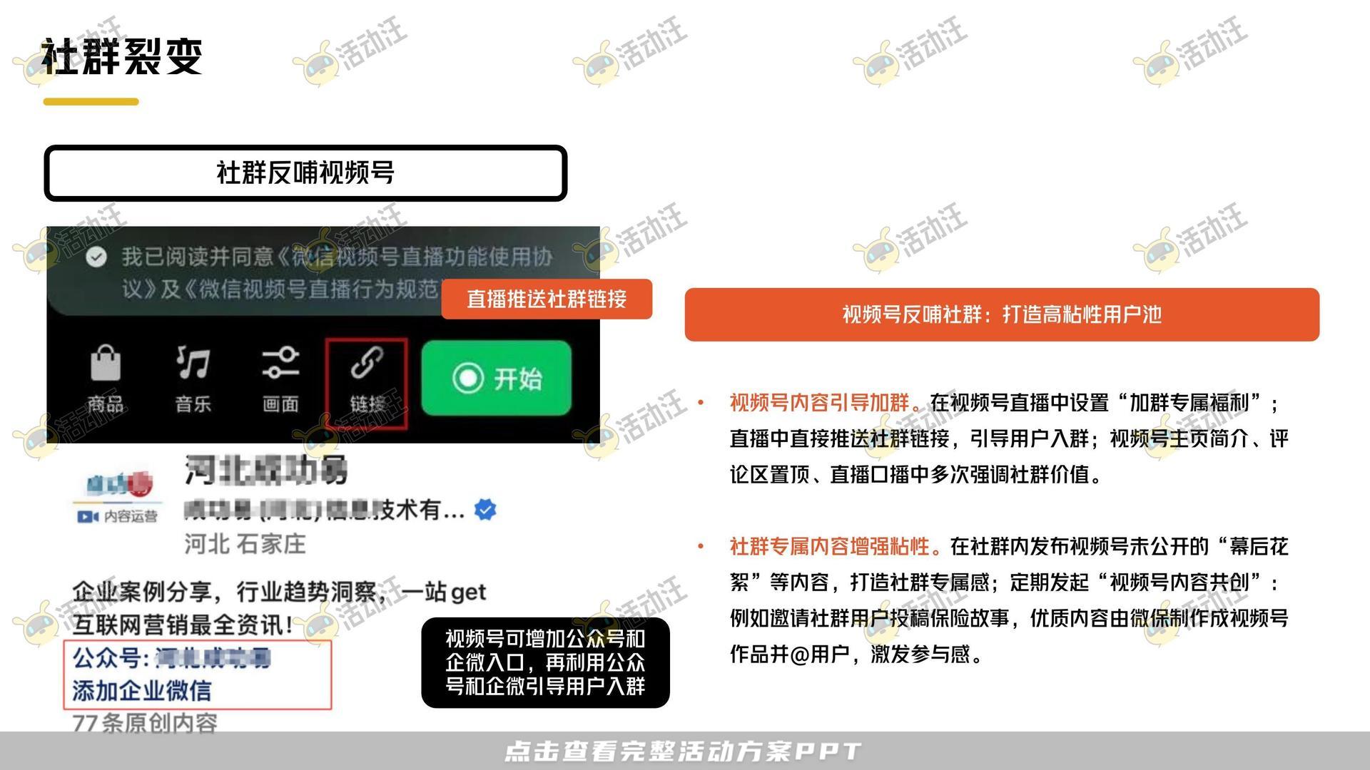 保险&金融行业短视频运营全案
