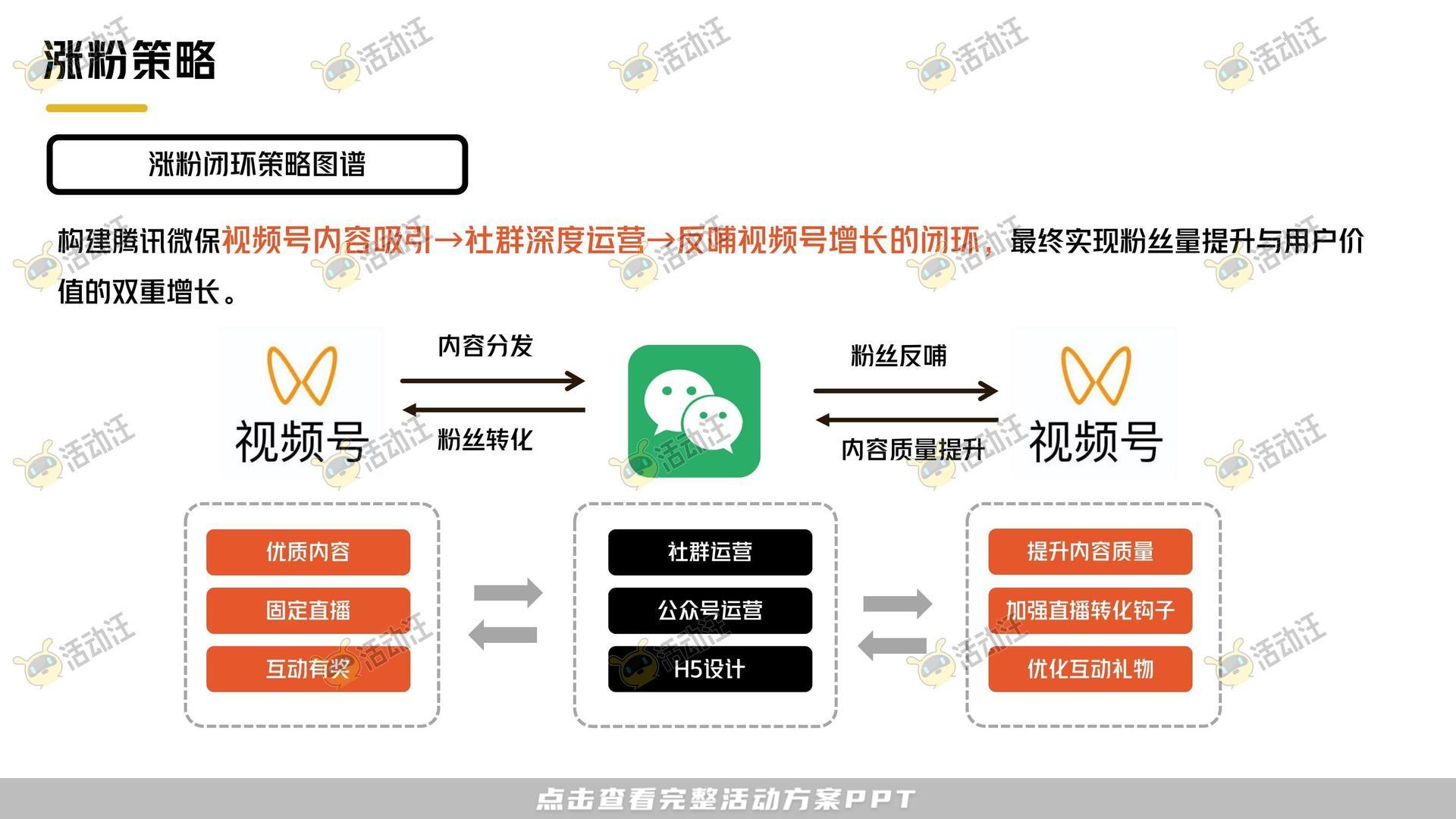 保险&金融行业短视频运营全案