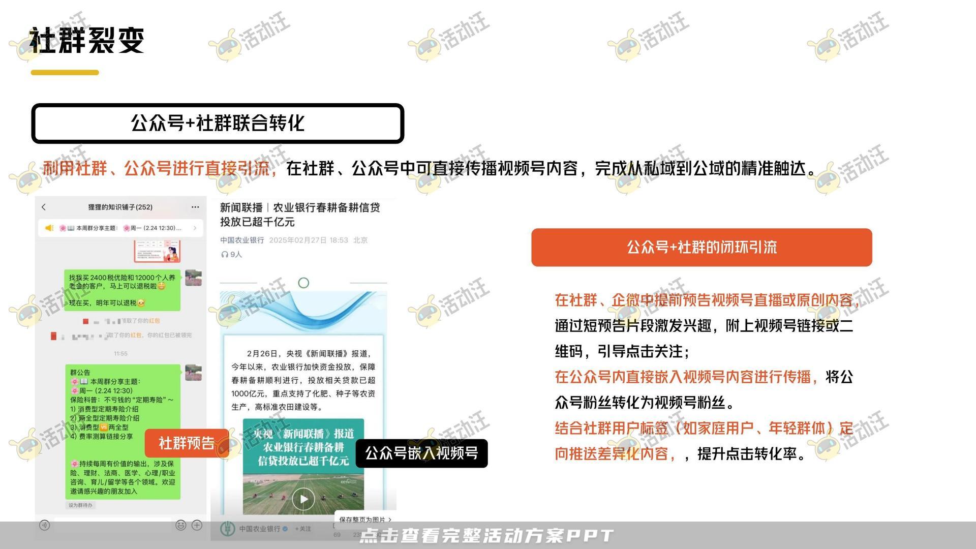 保险&金融行业短视频运营全案