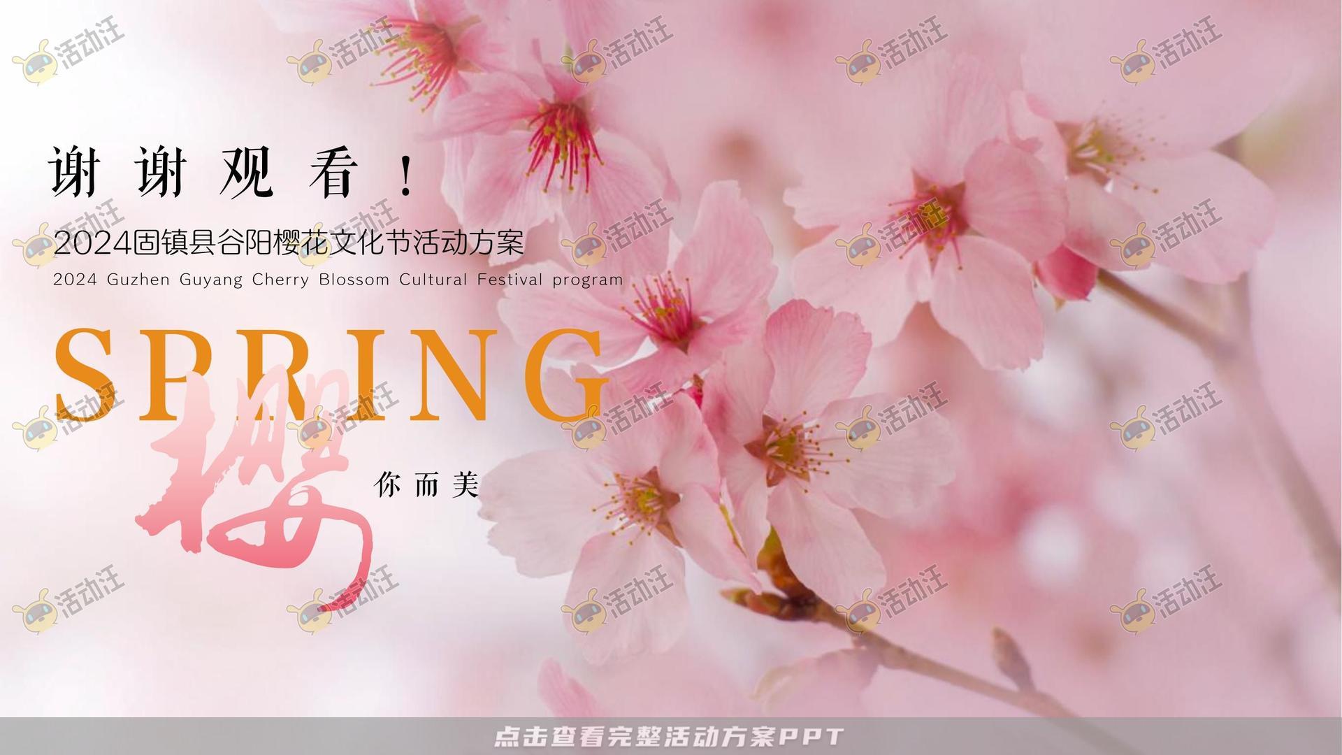 文化节活动策划方案