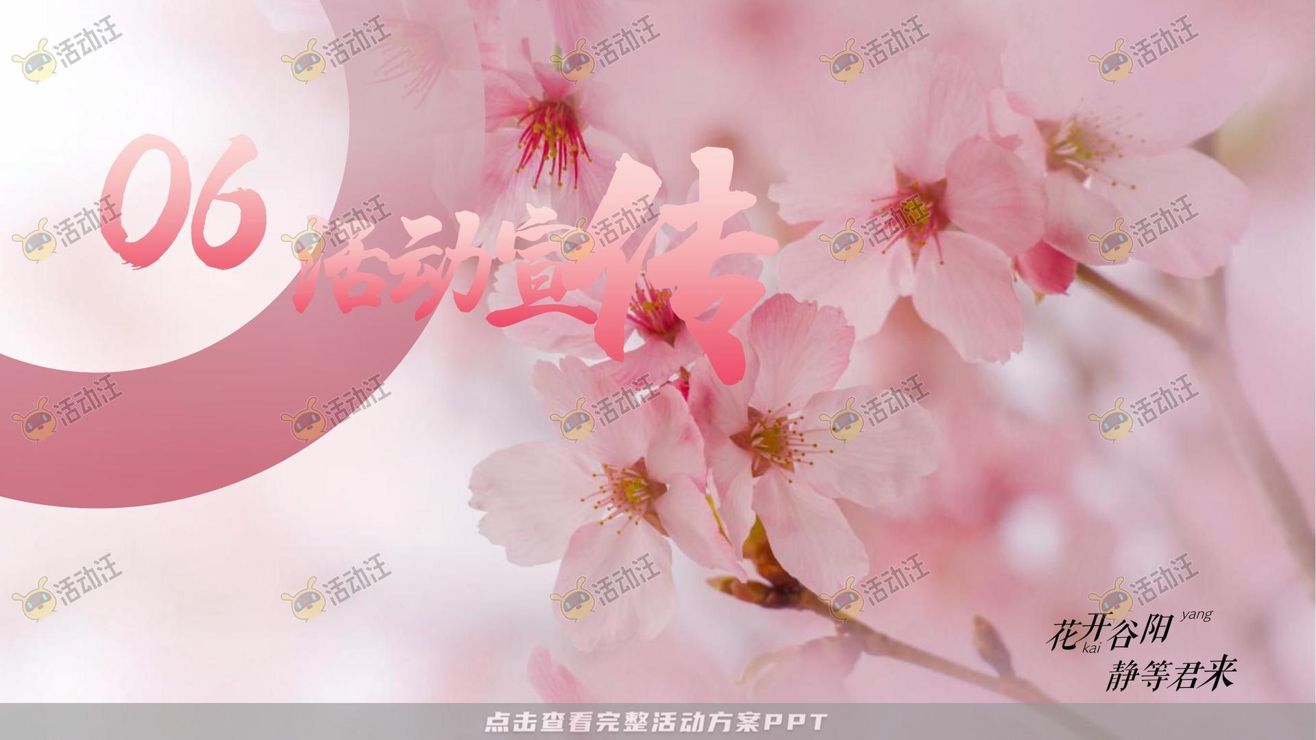 文化节活动策划方案