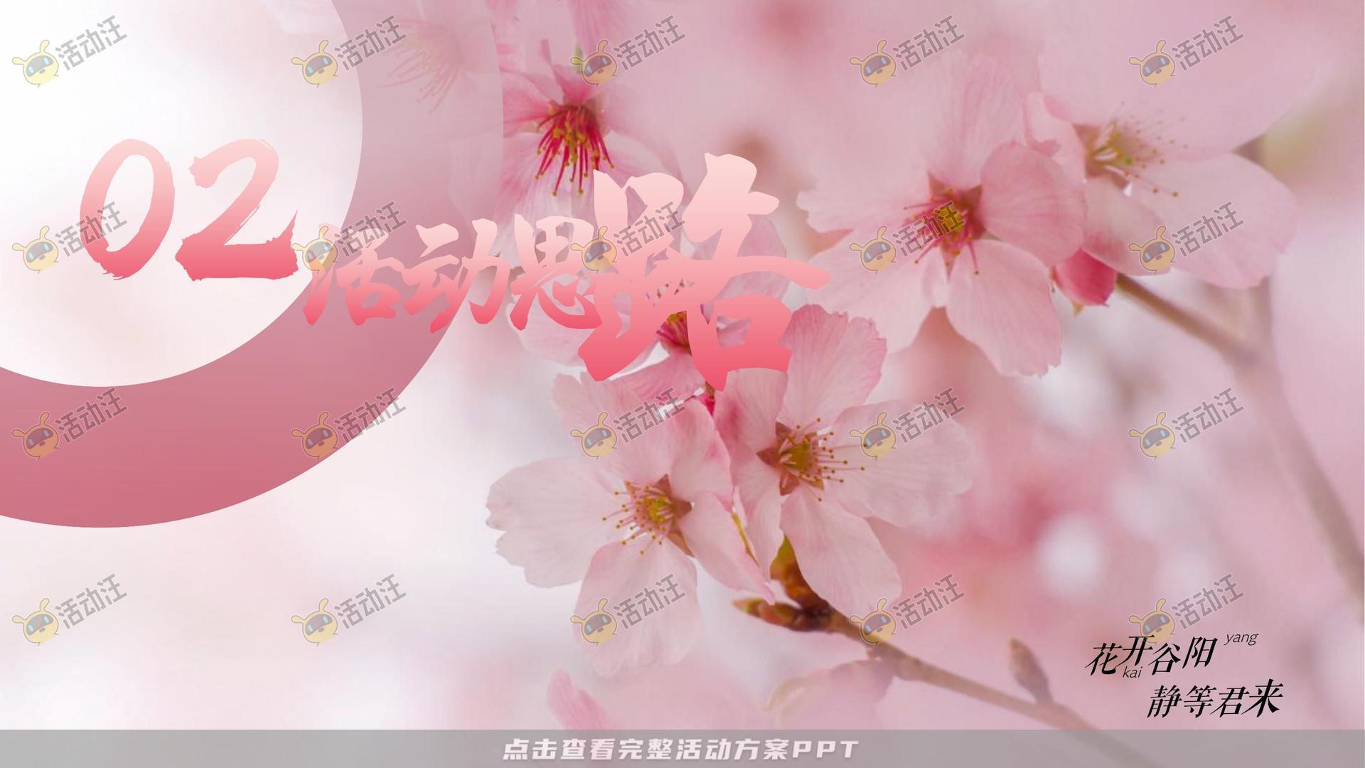 文化节活动策划方案