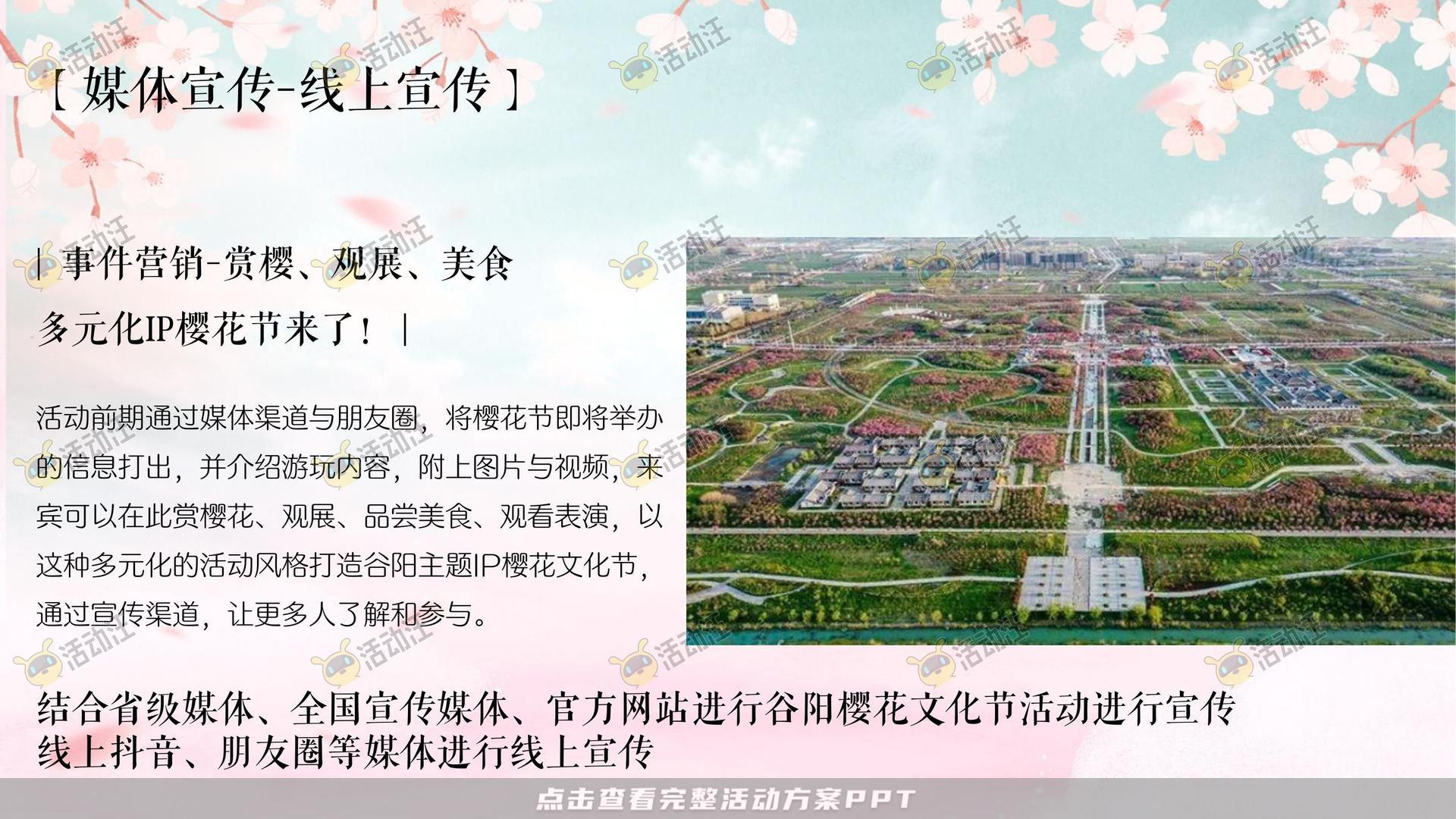 文化节活动策划方案