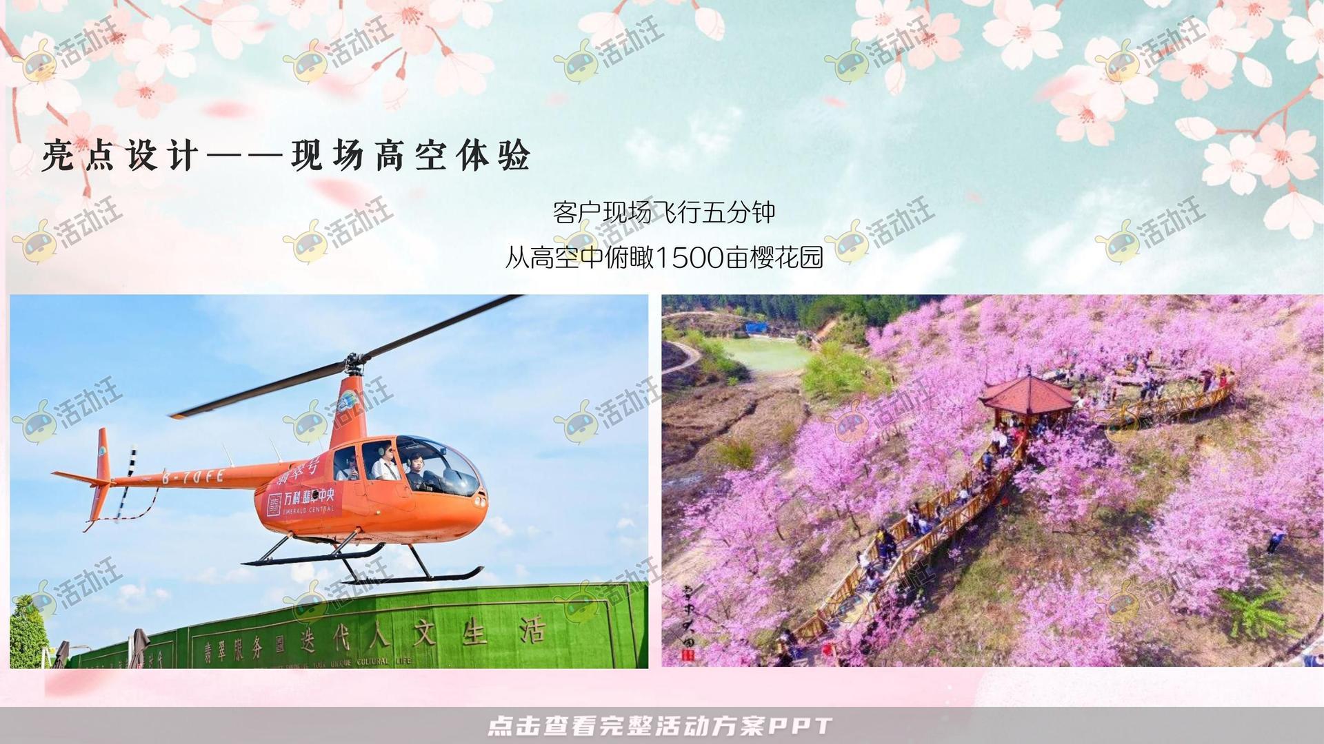 文化节活动策划方案
