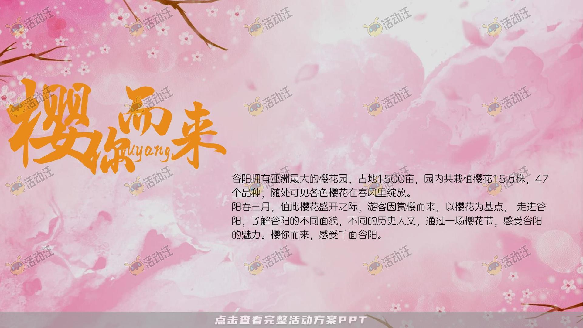 文化节活动策划方案