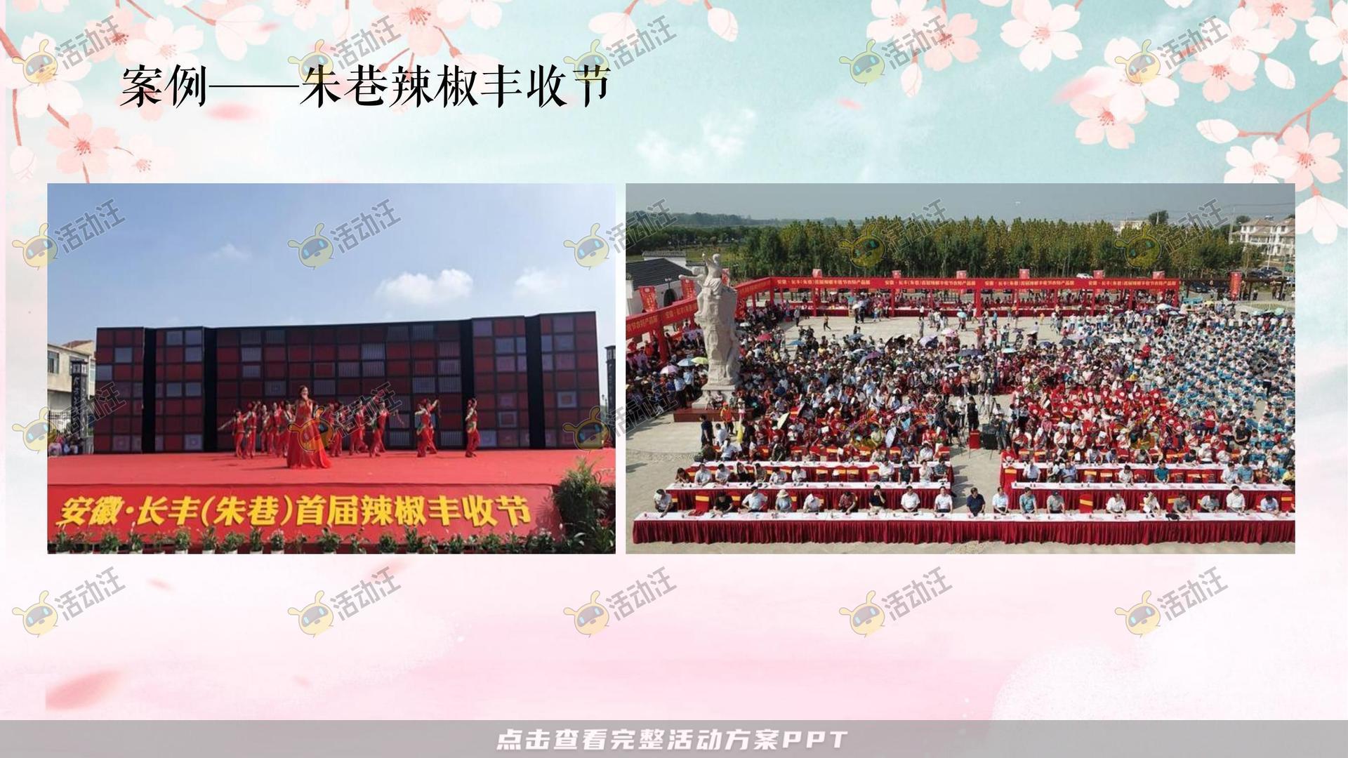文化节活动策划方案