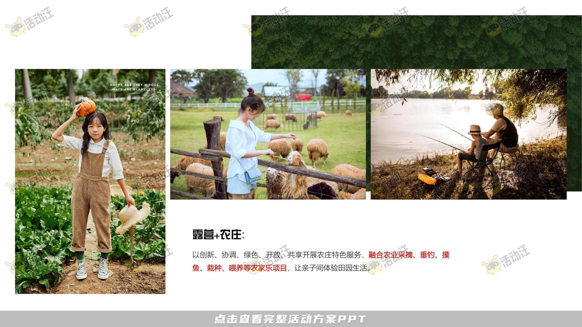 品牌营销方案
