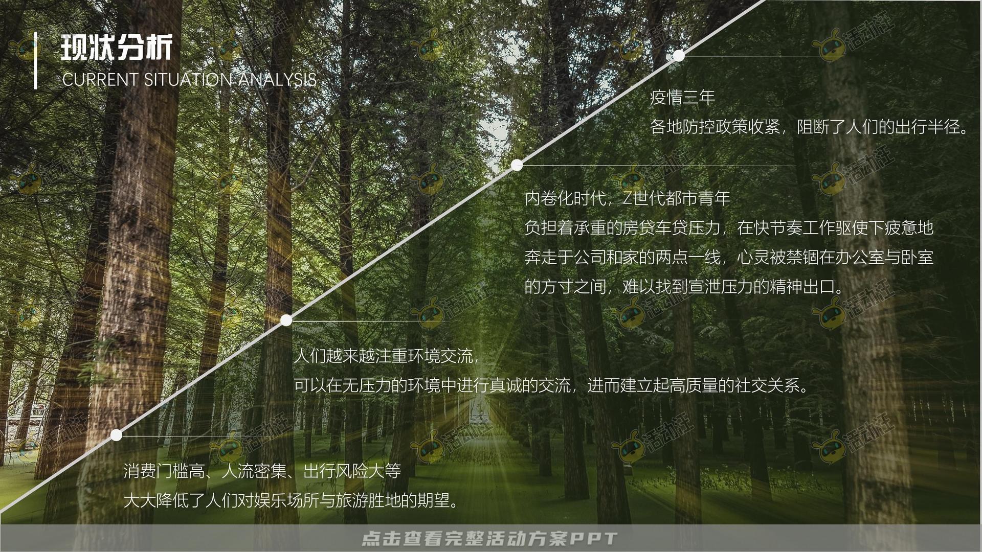 品牌营销方案