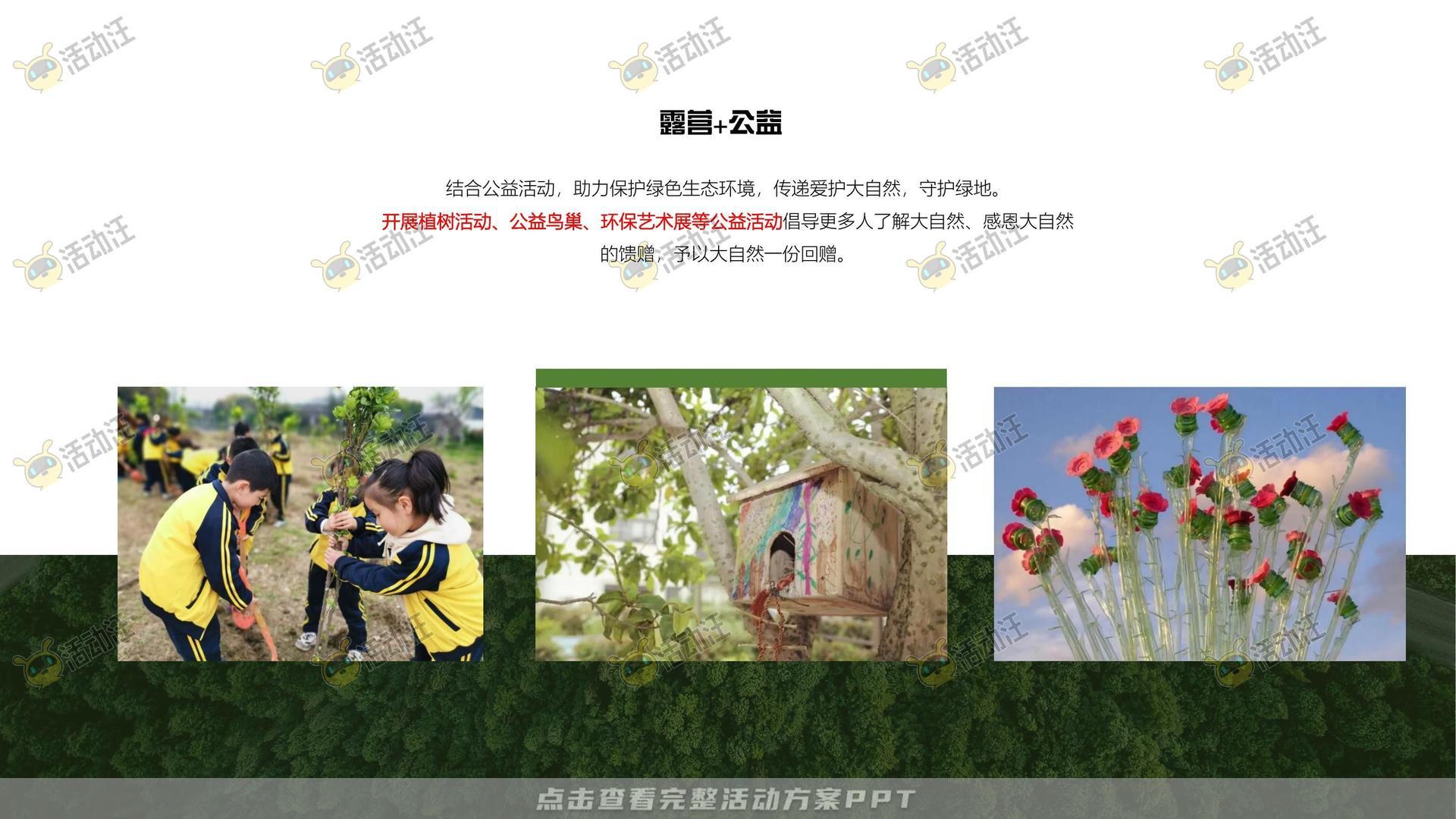 品牌营销方案