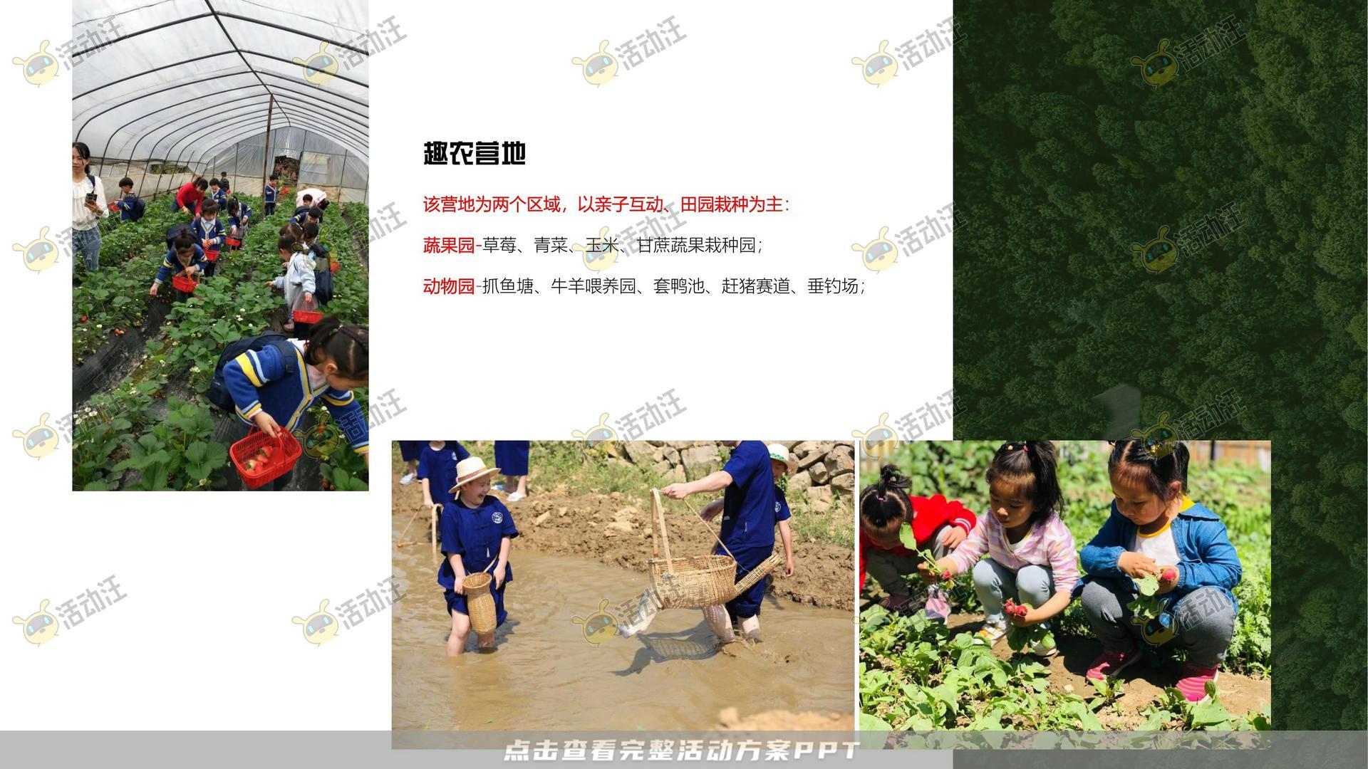 品牌营销方案