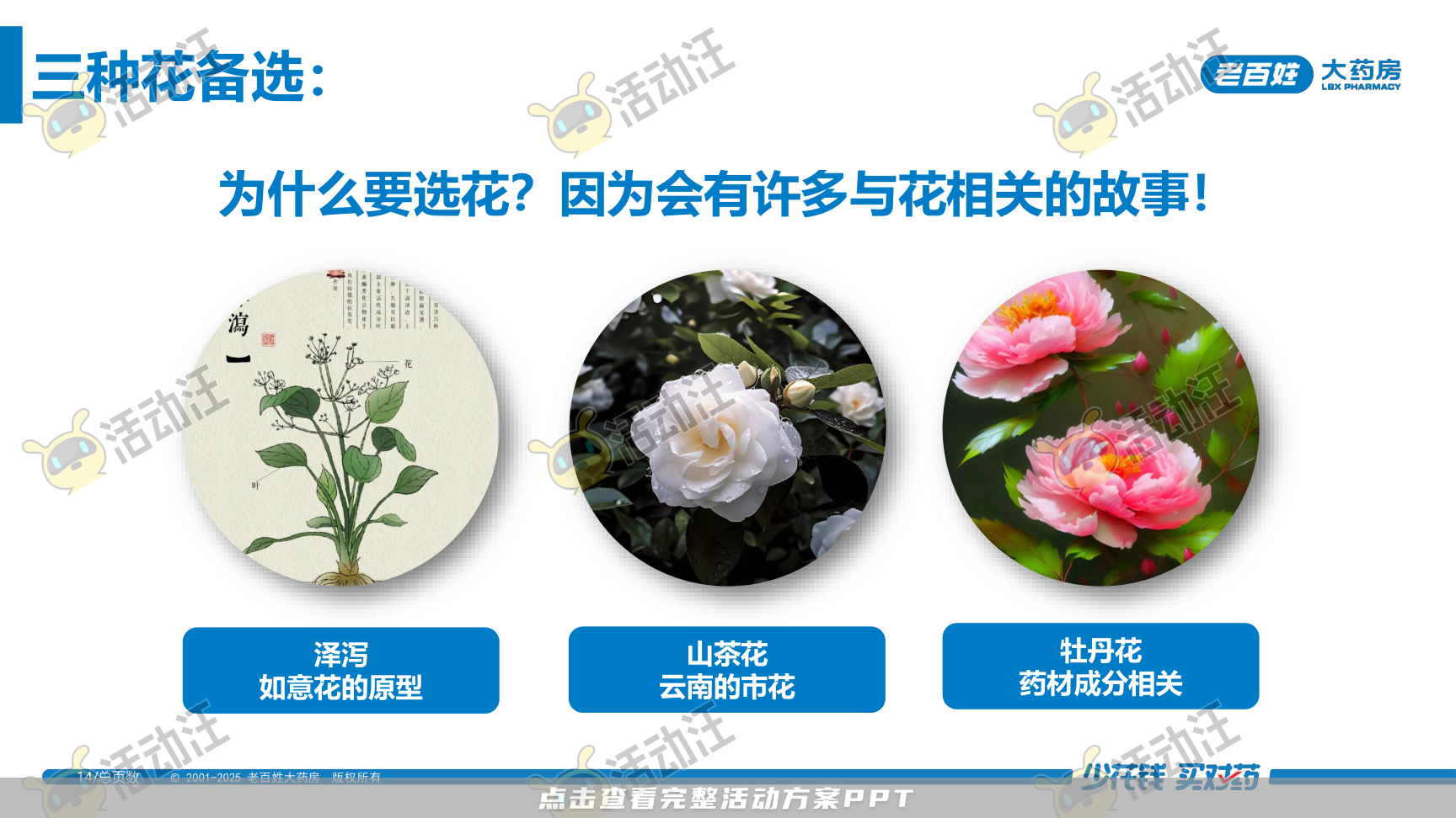 营销方案PPT美化