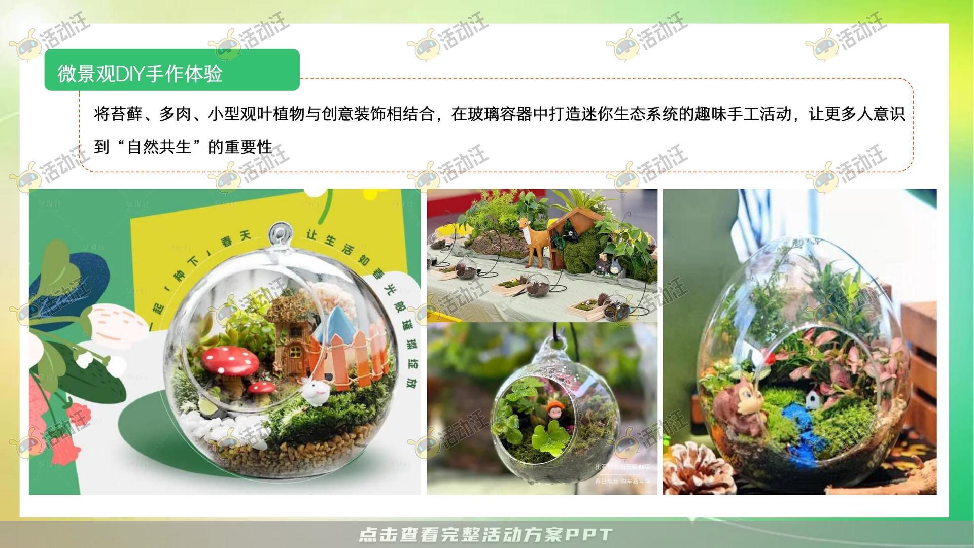 生活节活动策划方案
