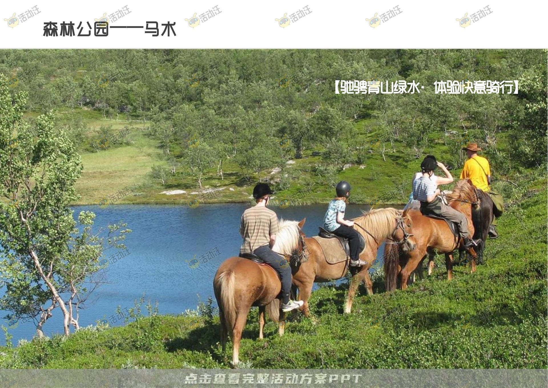 会奖旅游活动策划方案