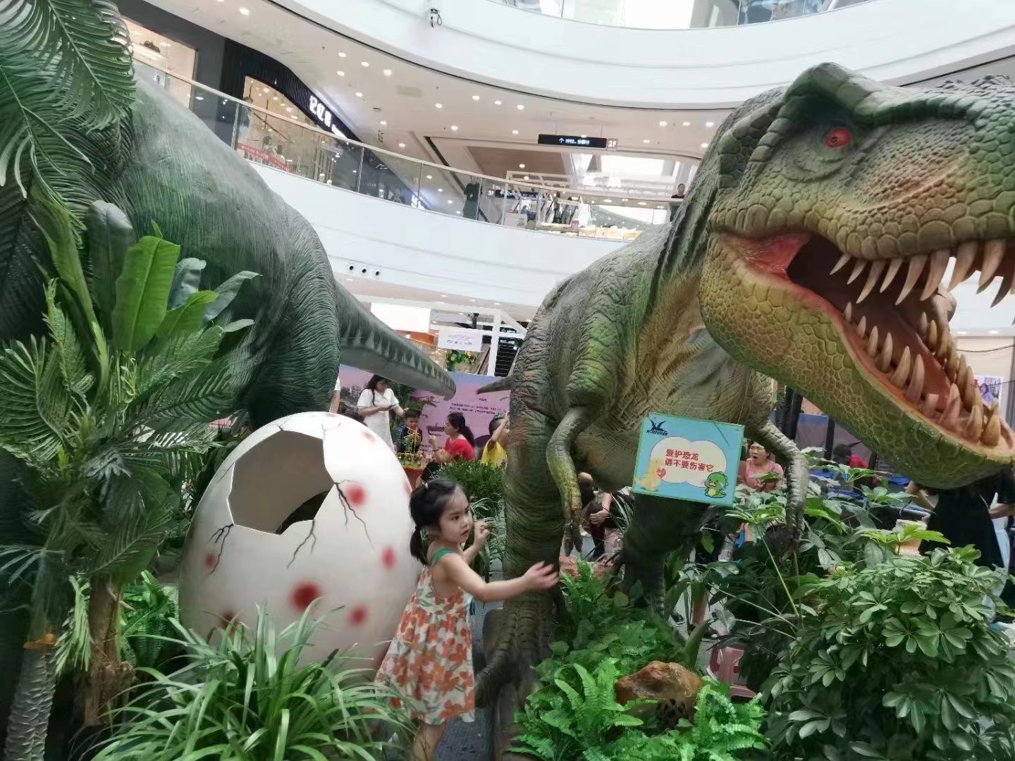 恐龙展，侏罗纪大型恐龙