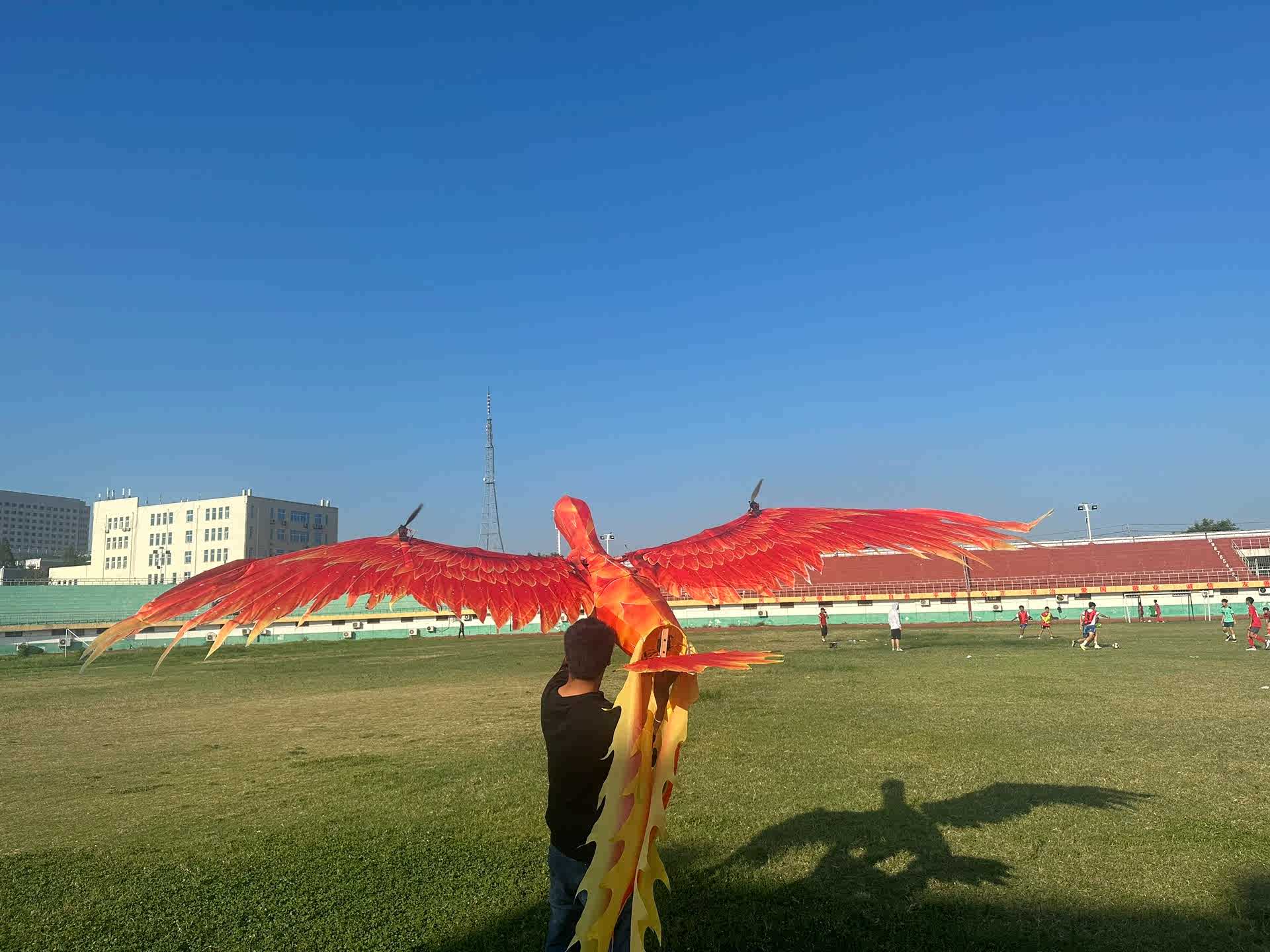 飞天凤凰飞行器遥控凤凰景区商业化演出出租出售