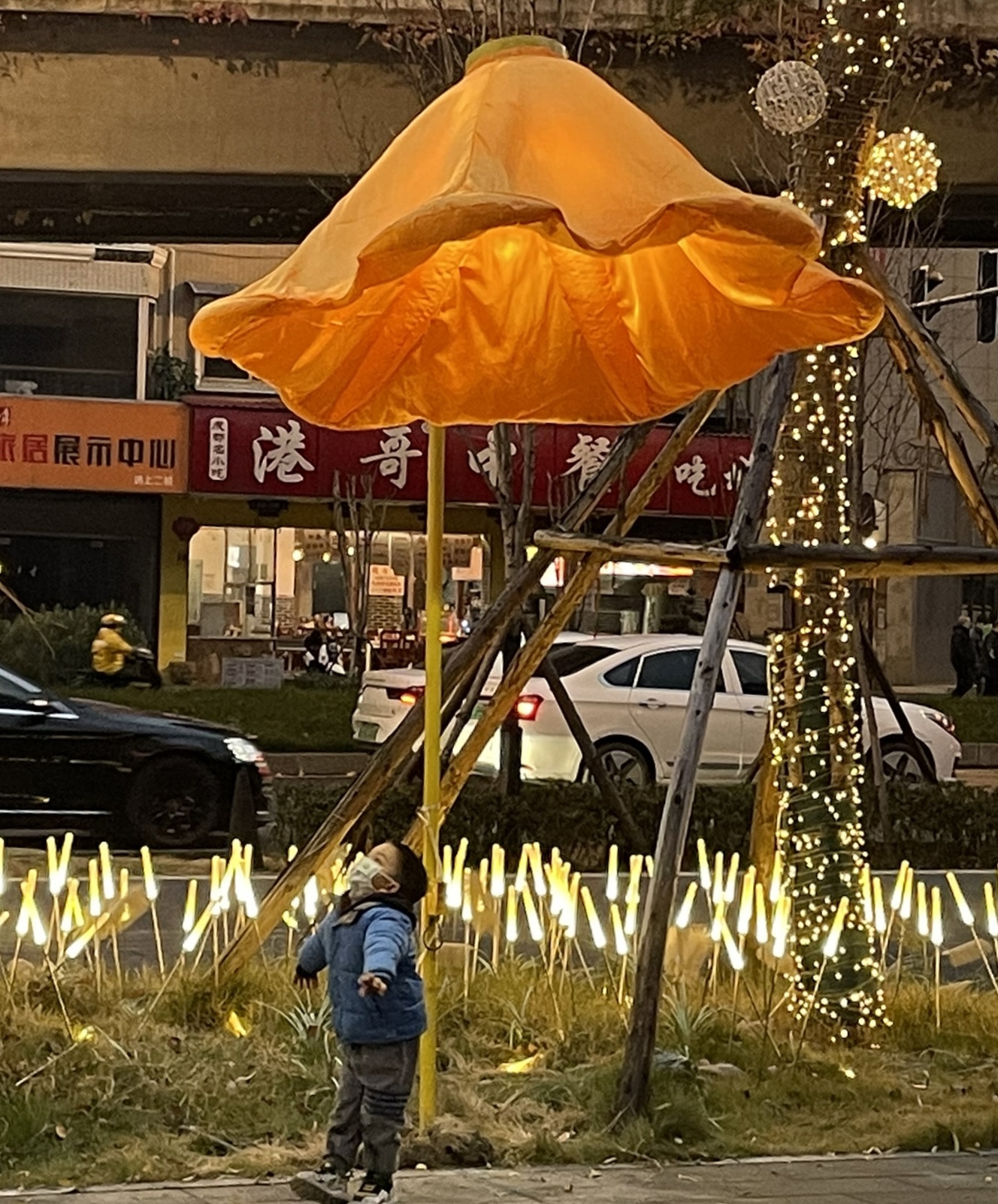 互动感应花