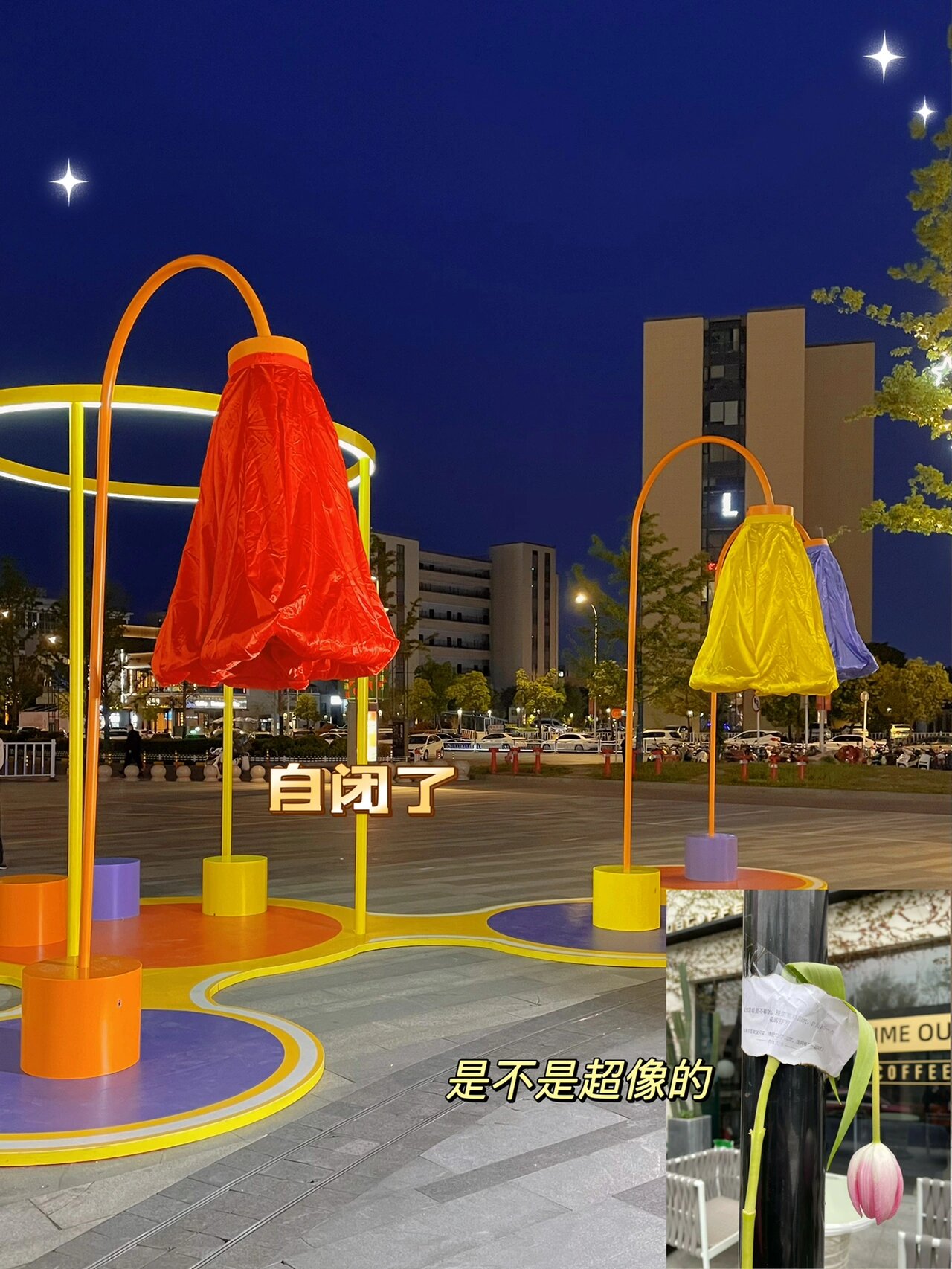 互动感应花