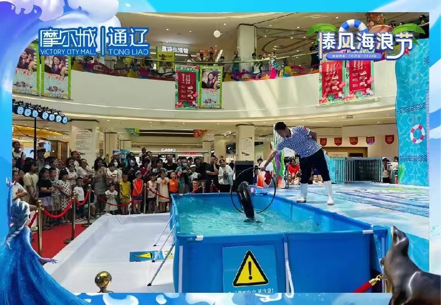 海狮表演出租，海狮表演租赁
