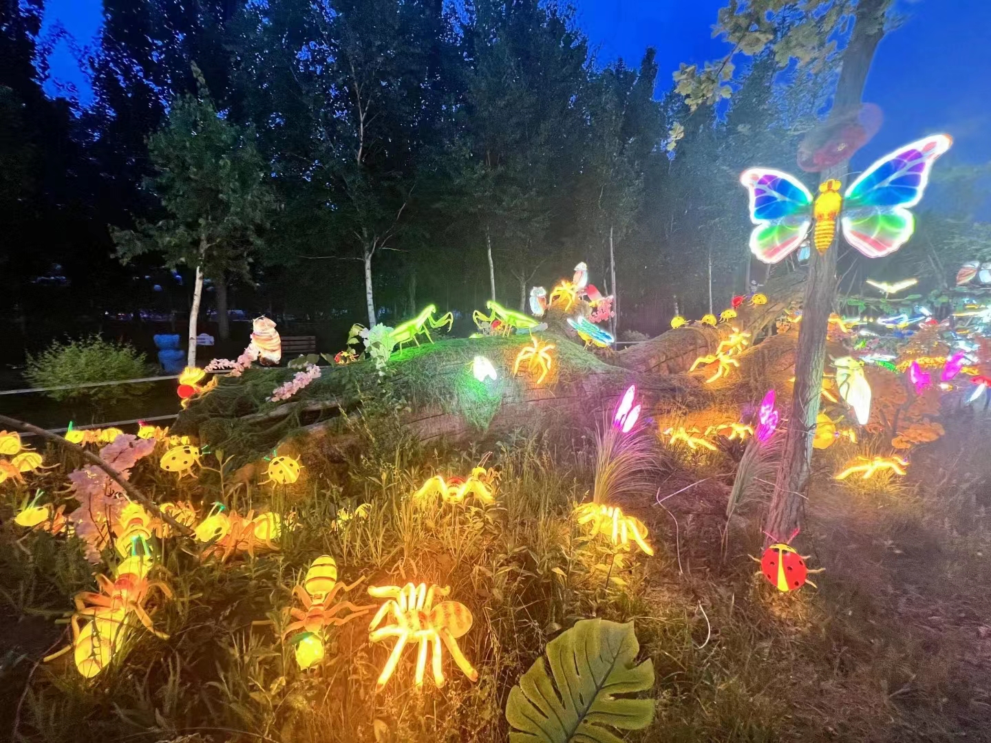 昆虫主题灯光夜游
