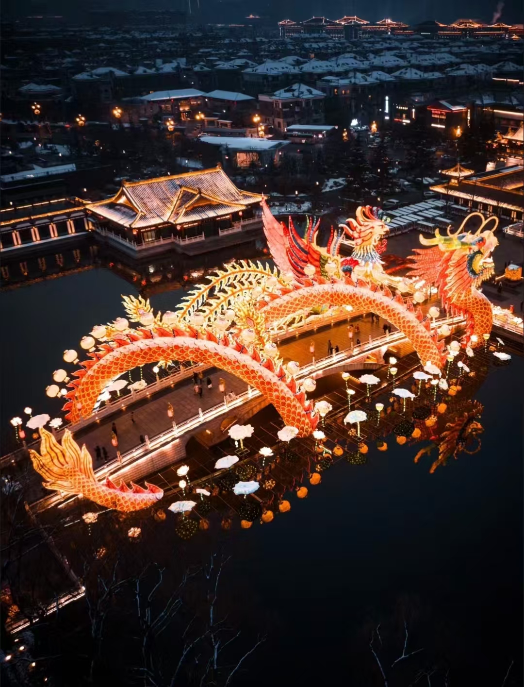中国龙，春节花灯灯会中国龙灯组