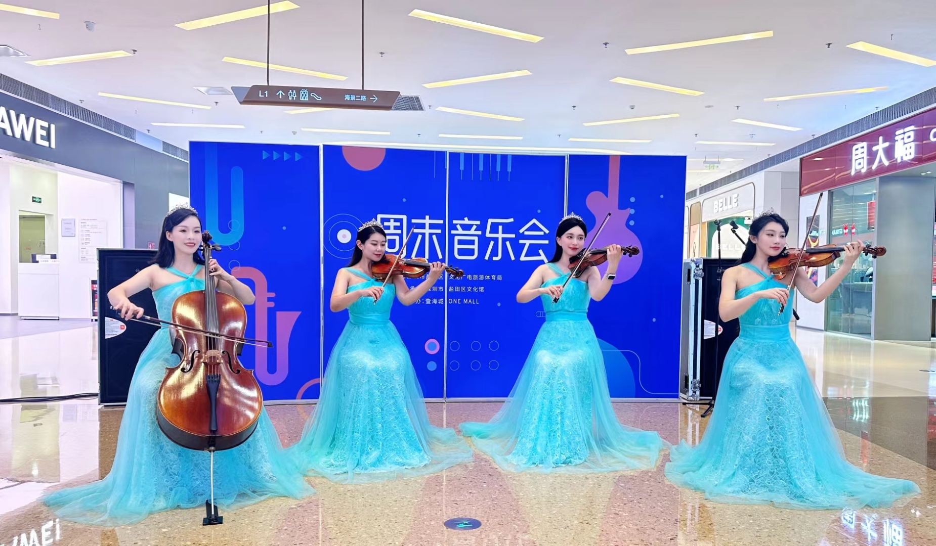 民乐演出暖场、古筝、琵琶、大小提琴、竖琴表演