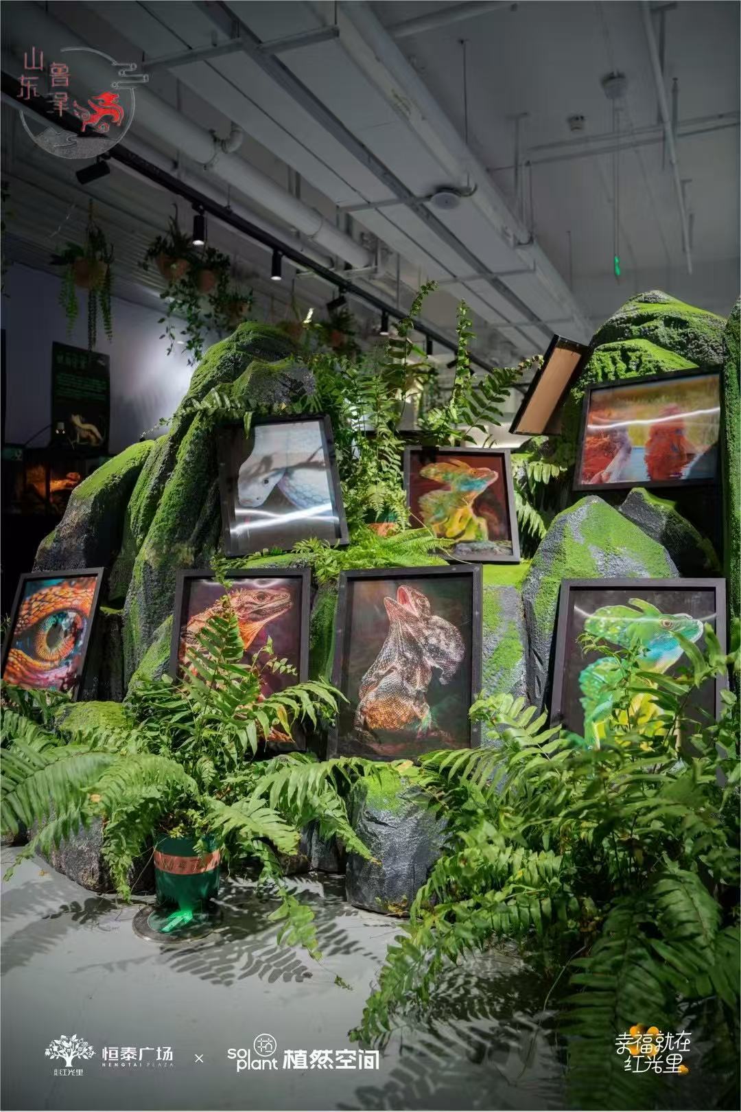 春季清明节劳动节国庆节爬宠展昆虫展