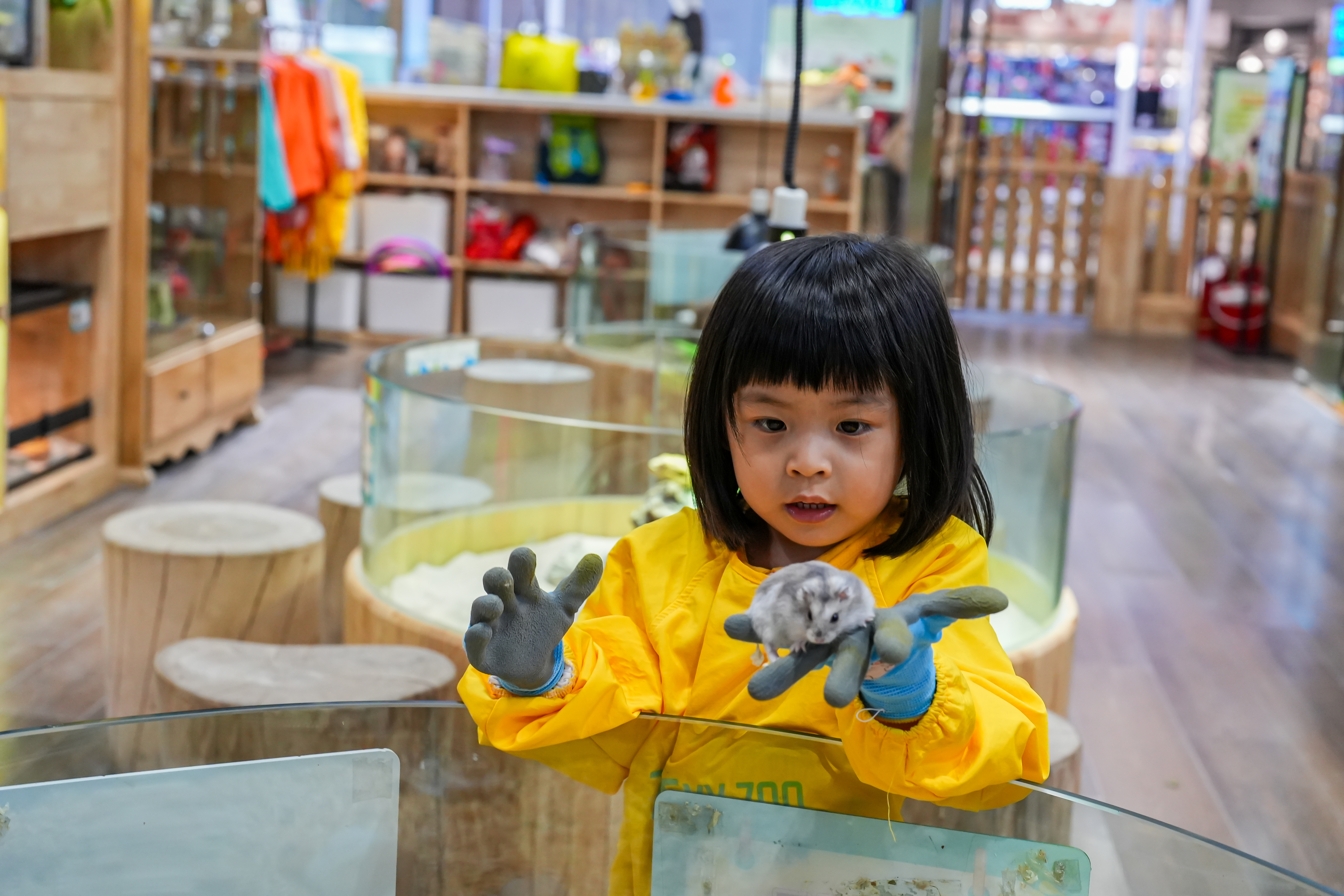 萌宠展