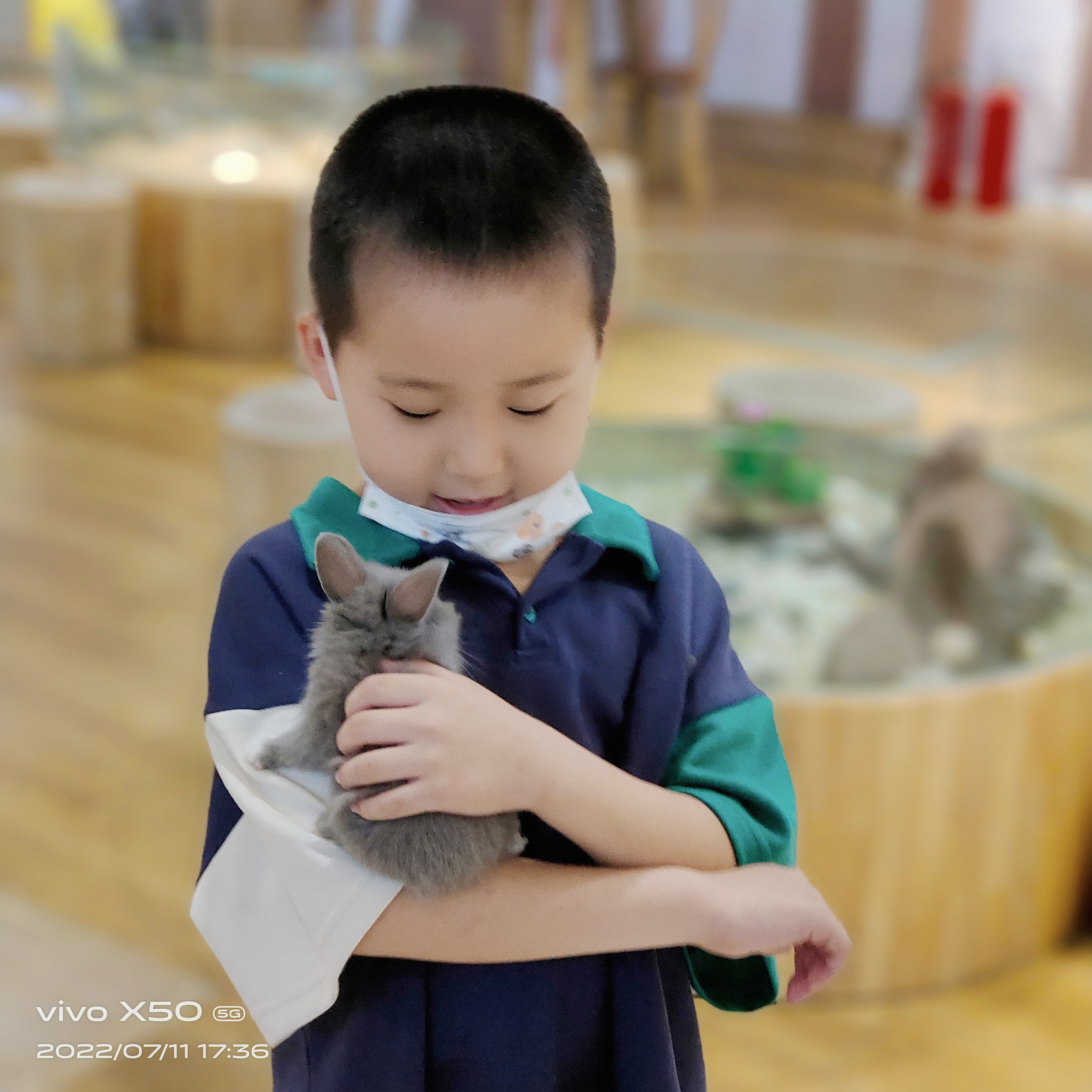 萌宠展