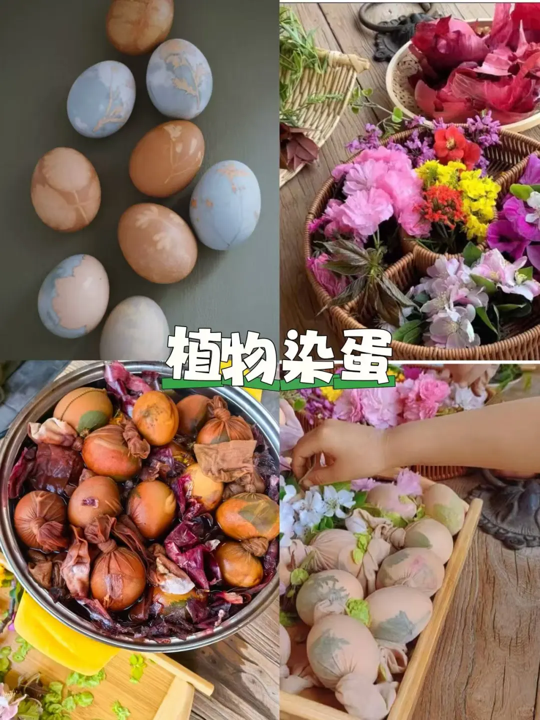 江浙沪非遗手作体验