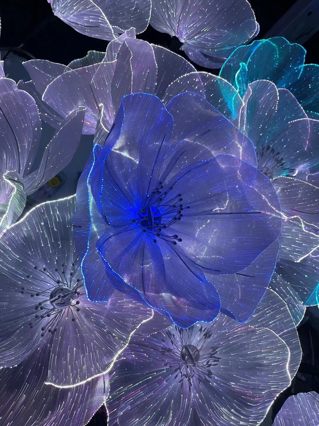 光纤花