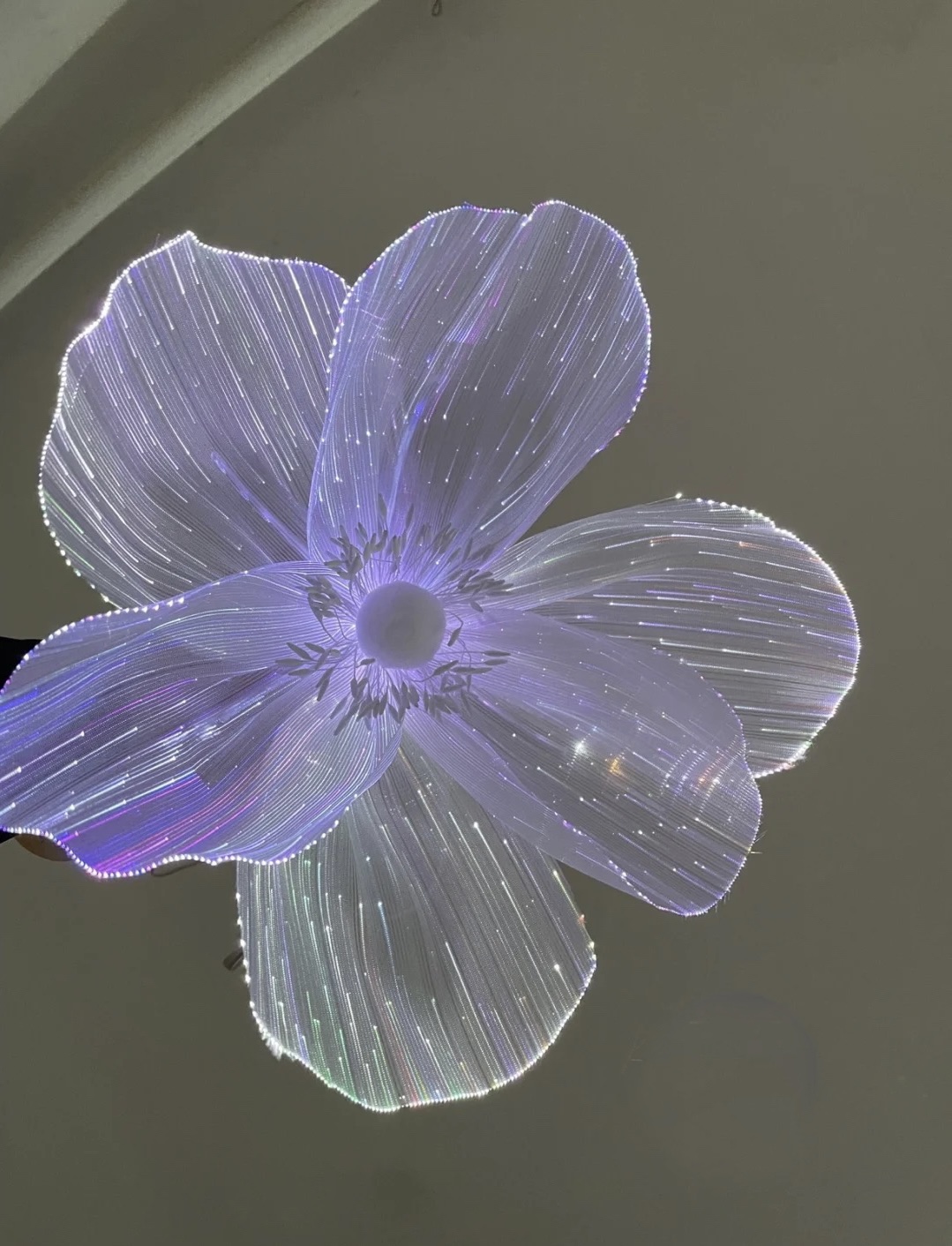 光纤花