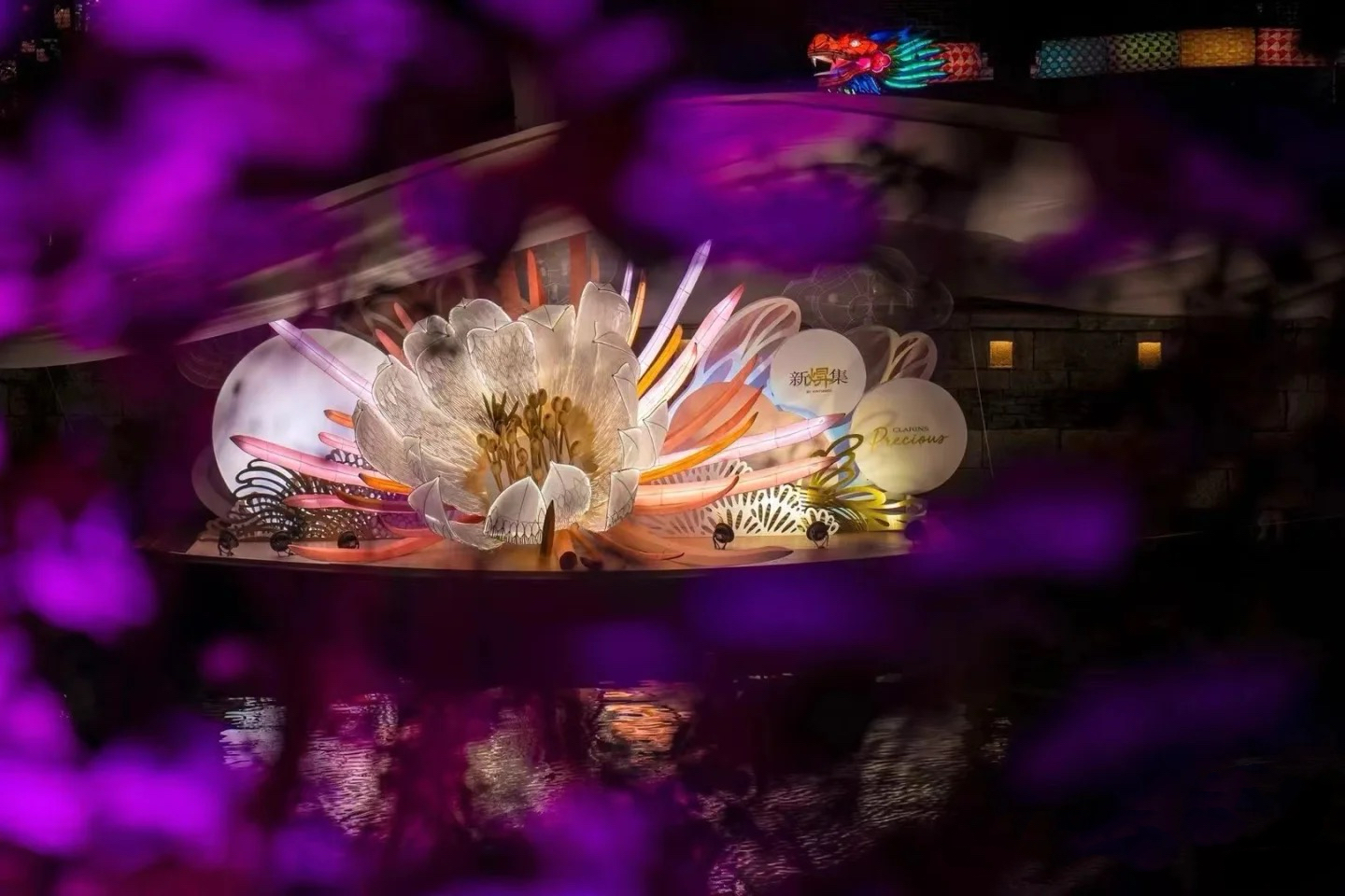 光纤花