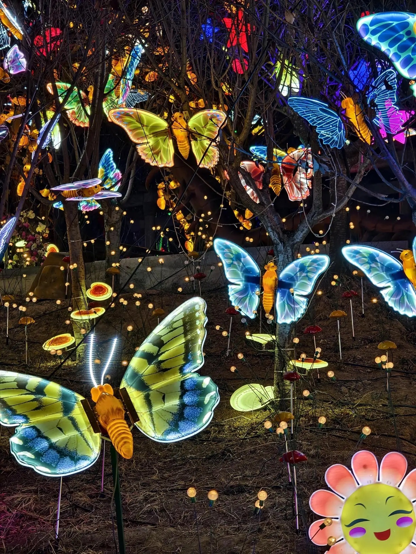 2025暑期灯光夜游季