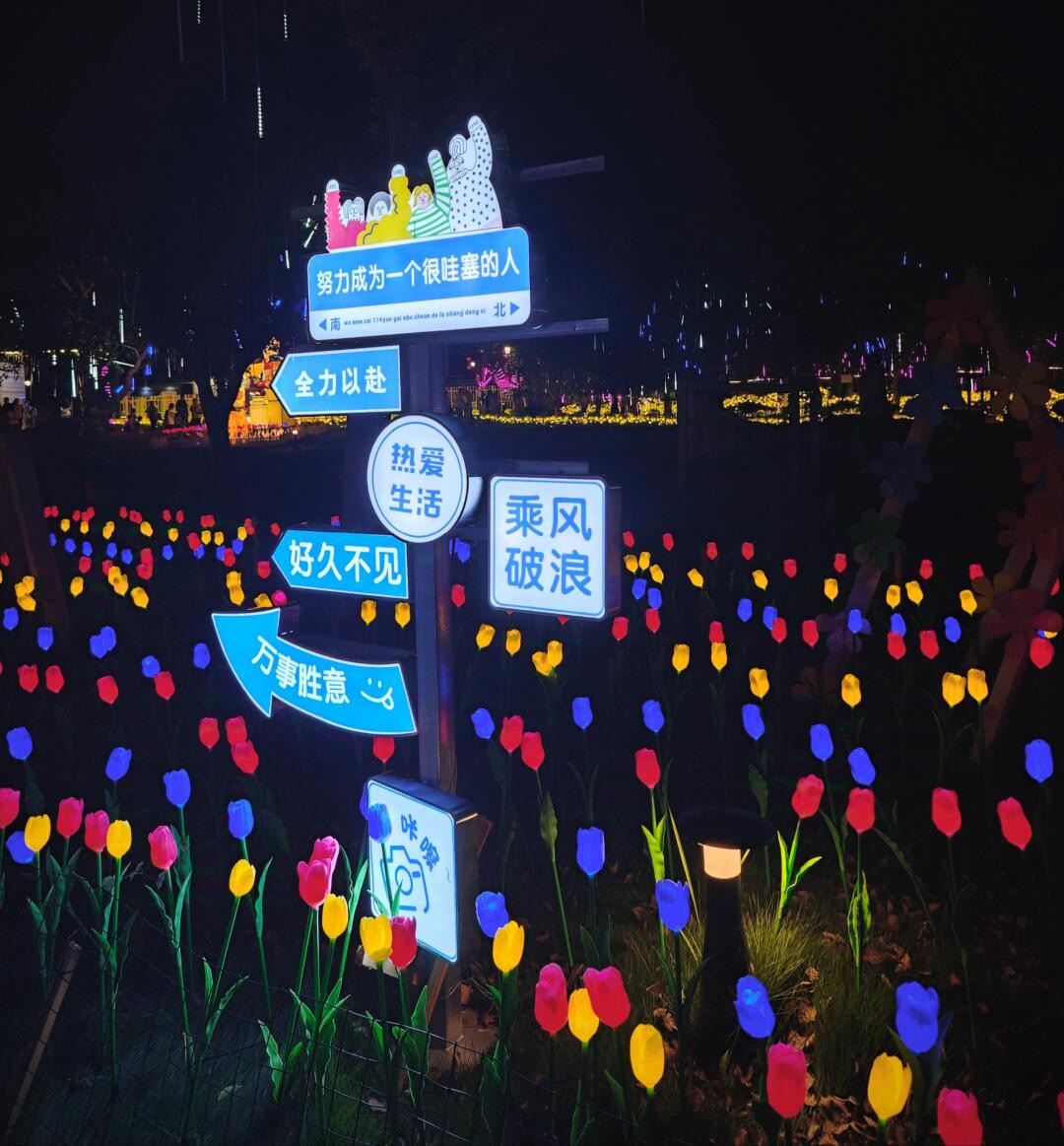 2025暑期灯光夜游季