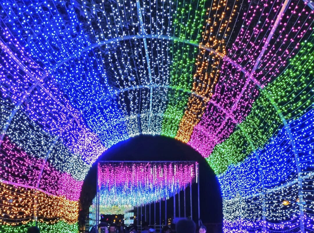 2025暑期灯光夜游季
