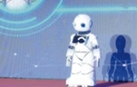 开幕式机器人表演服务