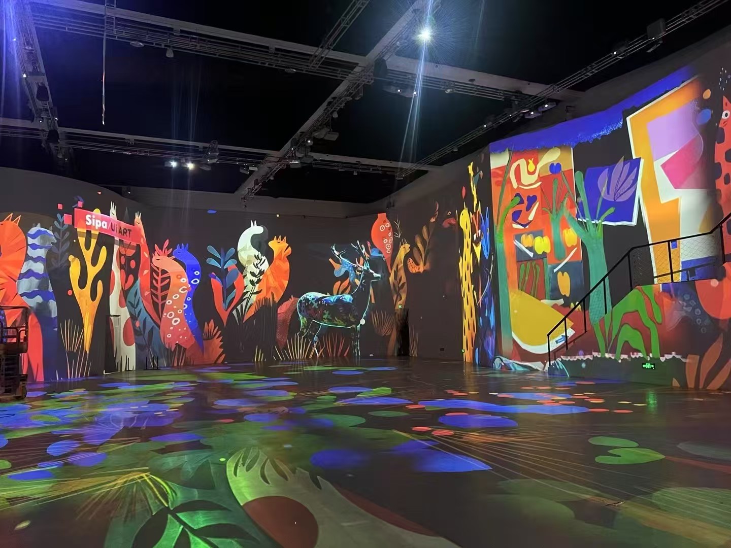 马蒂斯光影艺术展 沉浸式投影