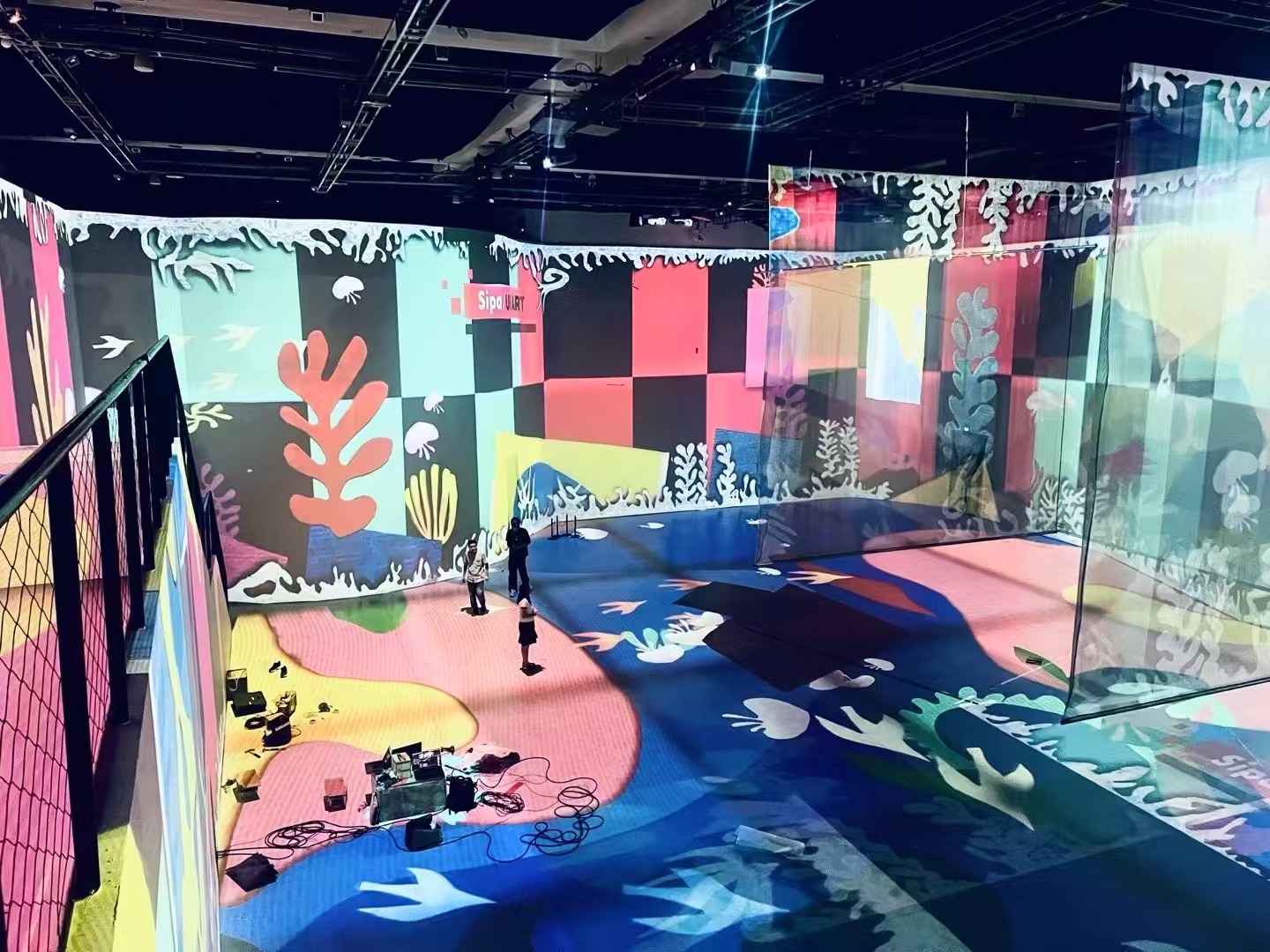马蒂斯光影艺术展 沉浸式投影