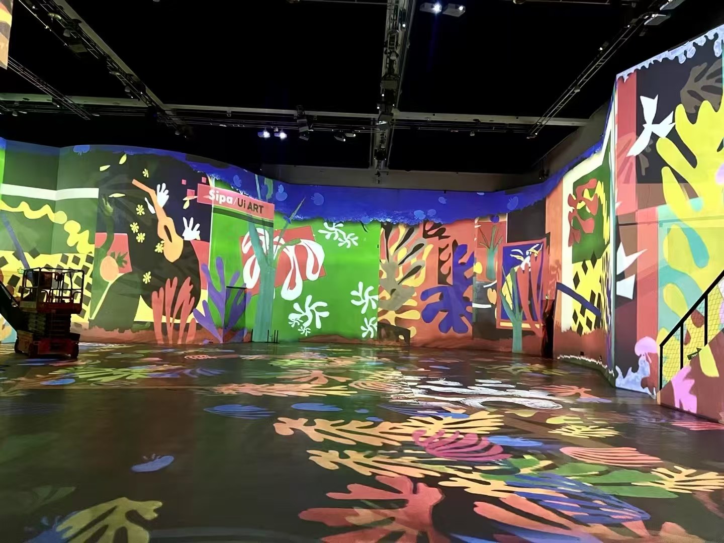 马蒂斯光影艺术展 沉浸式投影
