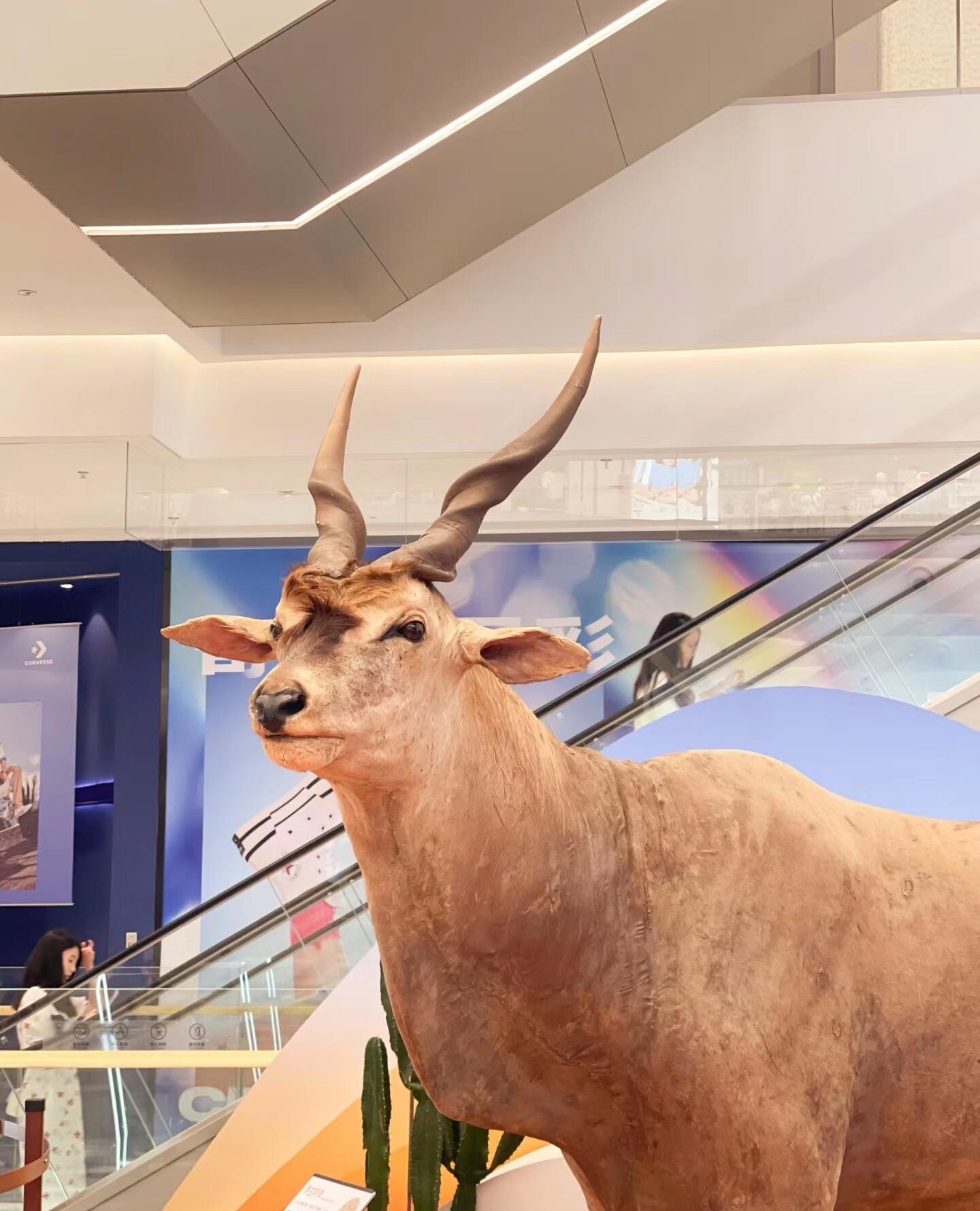 仿真动物标本长颈鹿狮子老虎非洲动物大迁徙