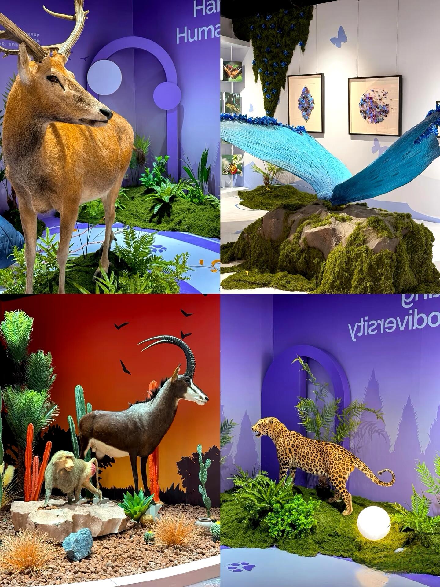 仿真动物标本长颈鹿狮子老虎非洲动物大迁徙