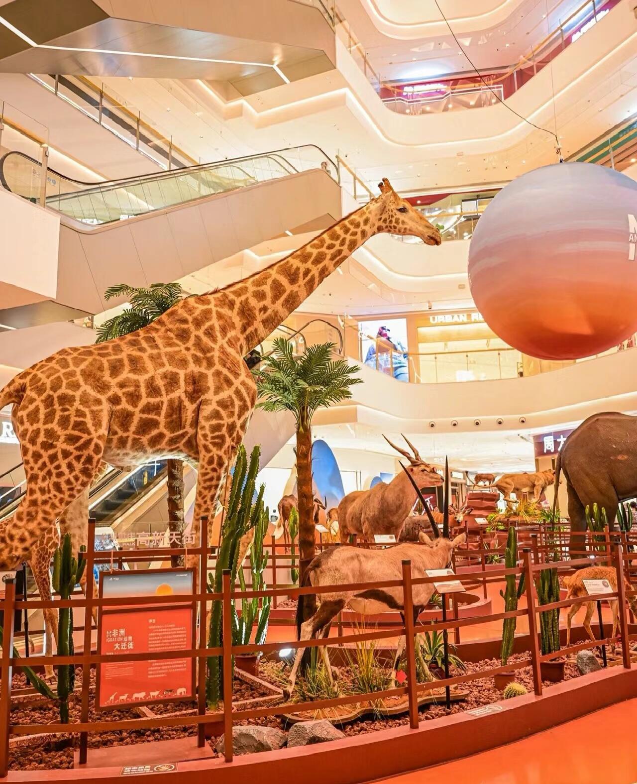 仿真动物标本长颈鹿狮子老虎非洲动物大迁徙