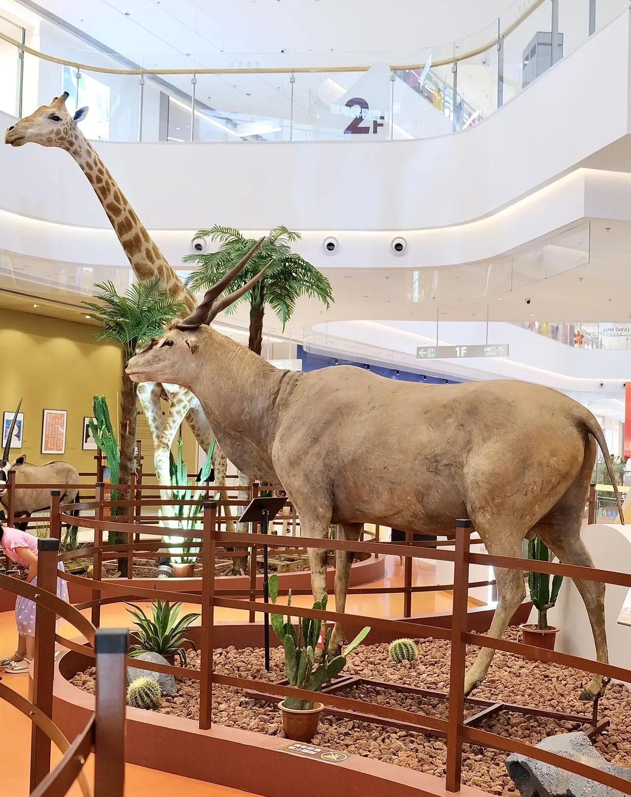 仿真动物标本长颈鹿狮子老虎非洲动物大迁徙