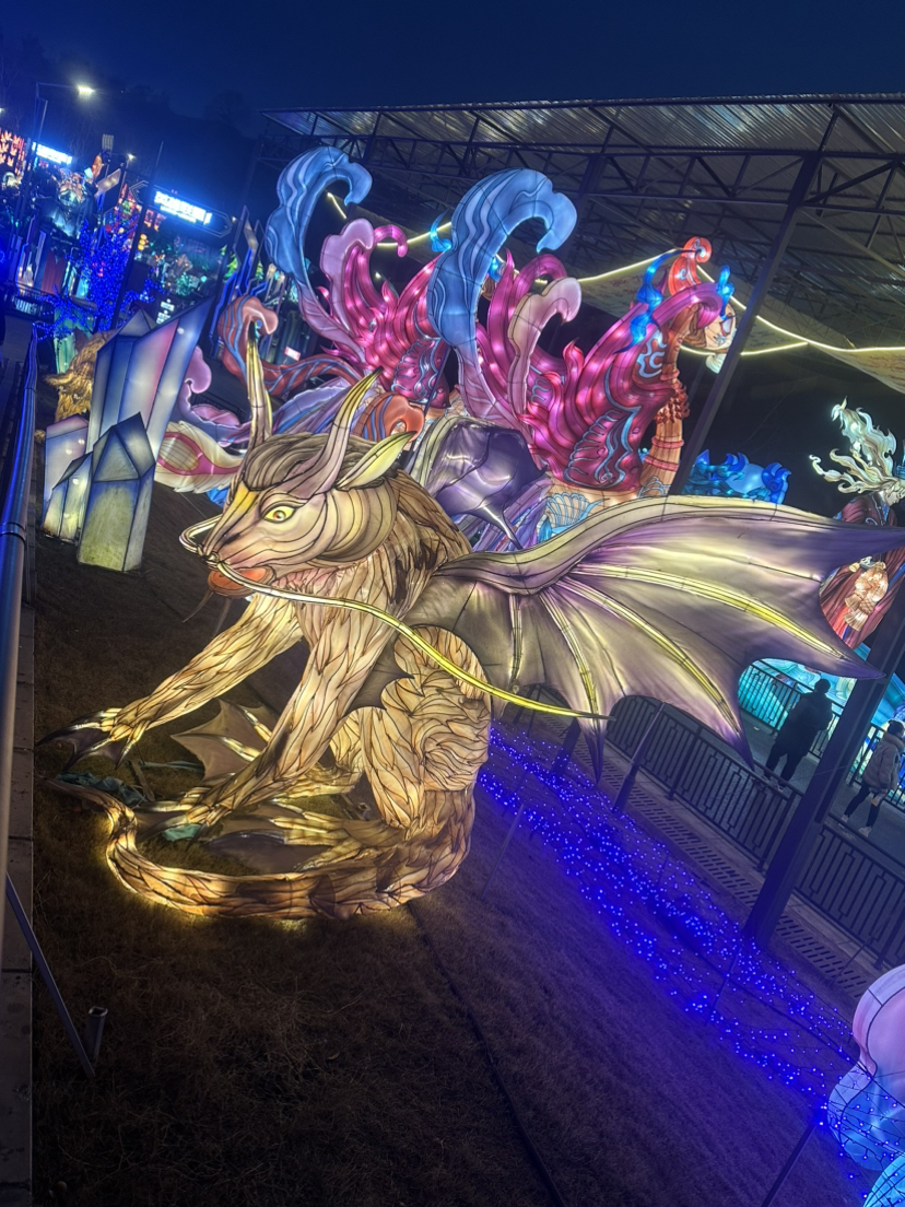 山海经花灯