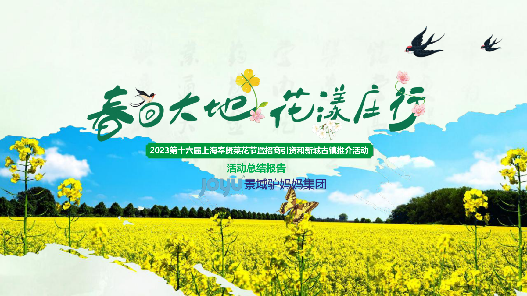 2023第十六届上海奉贤菜花节