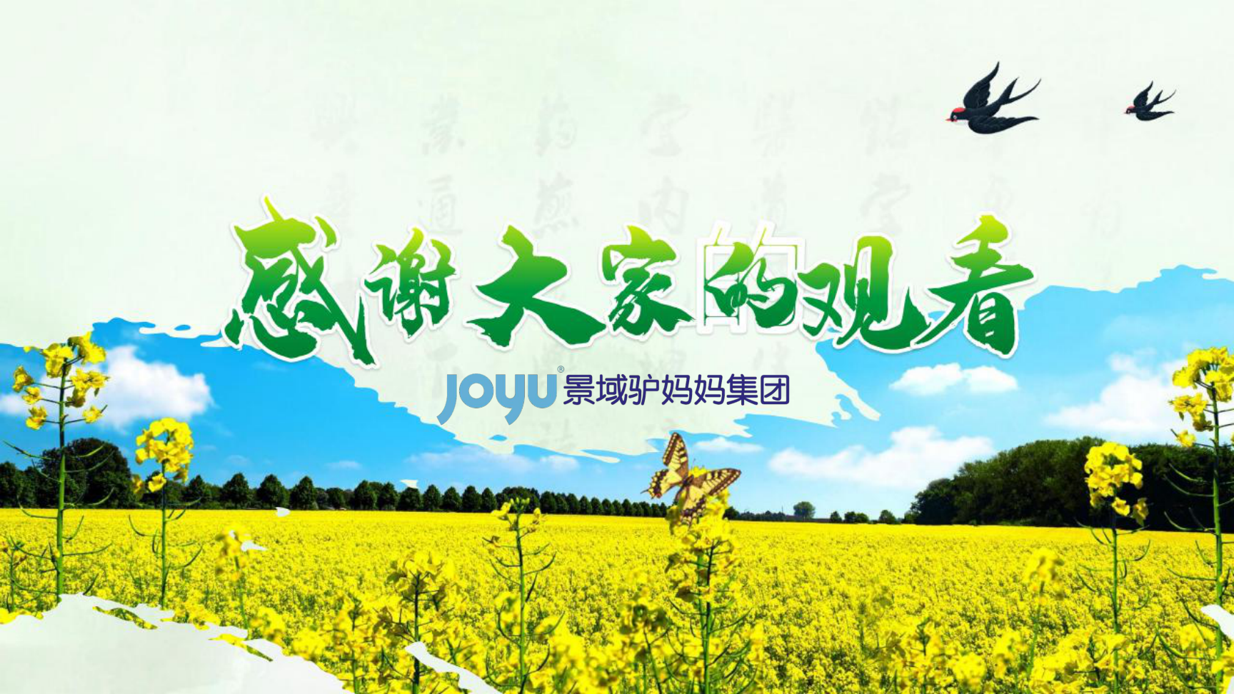 2023第十六届上海奉贤菜花节