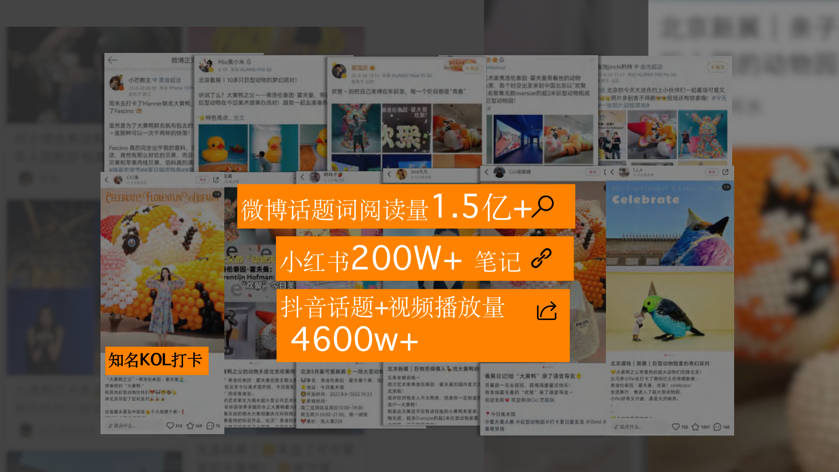 大黄鸭《橡皮鸭二重畅》装置艺术展