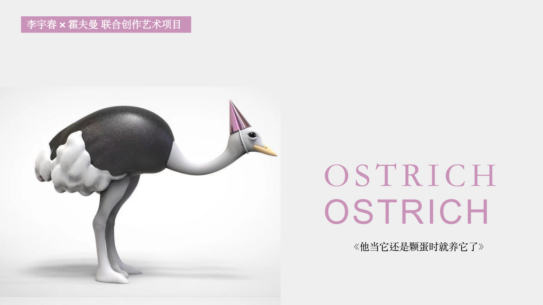 大黄鸭《橡皮鸭二重畅》装置艺术展